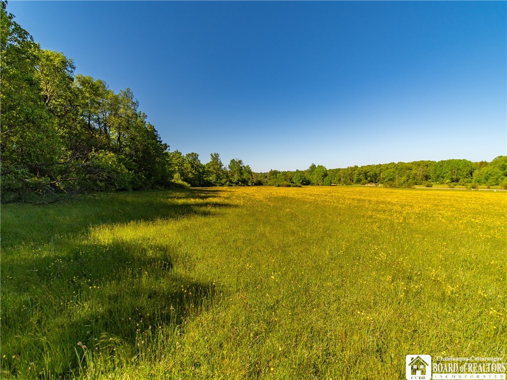 3946 Camp Road Sherman, NY 14781 - Photo 39 of 48