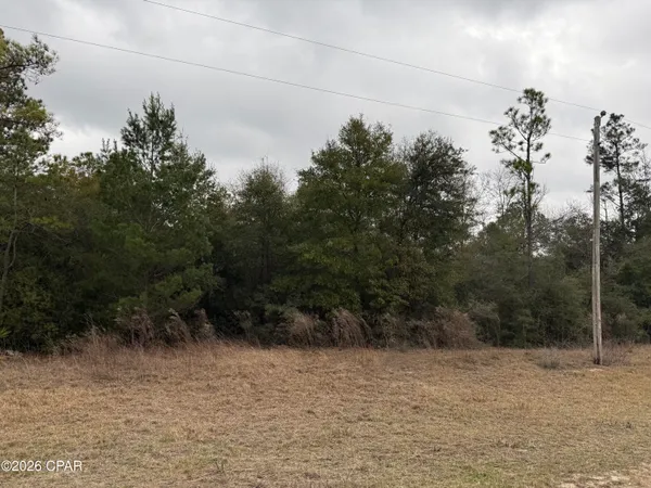 $13,900 | 0 Russell Avenue, Alford, FL 32420