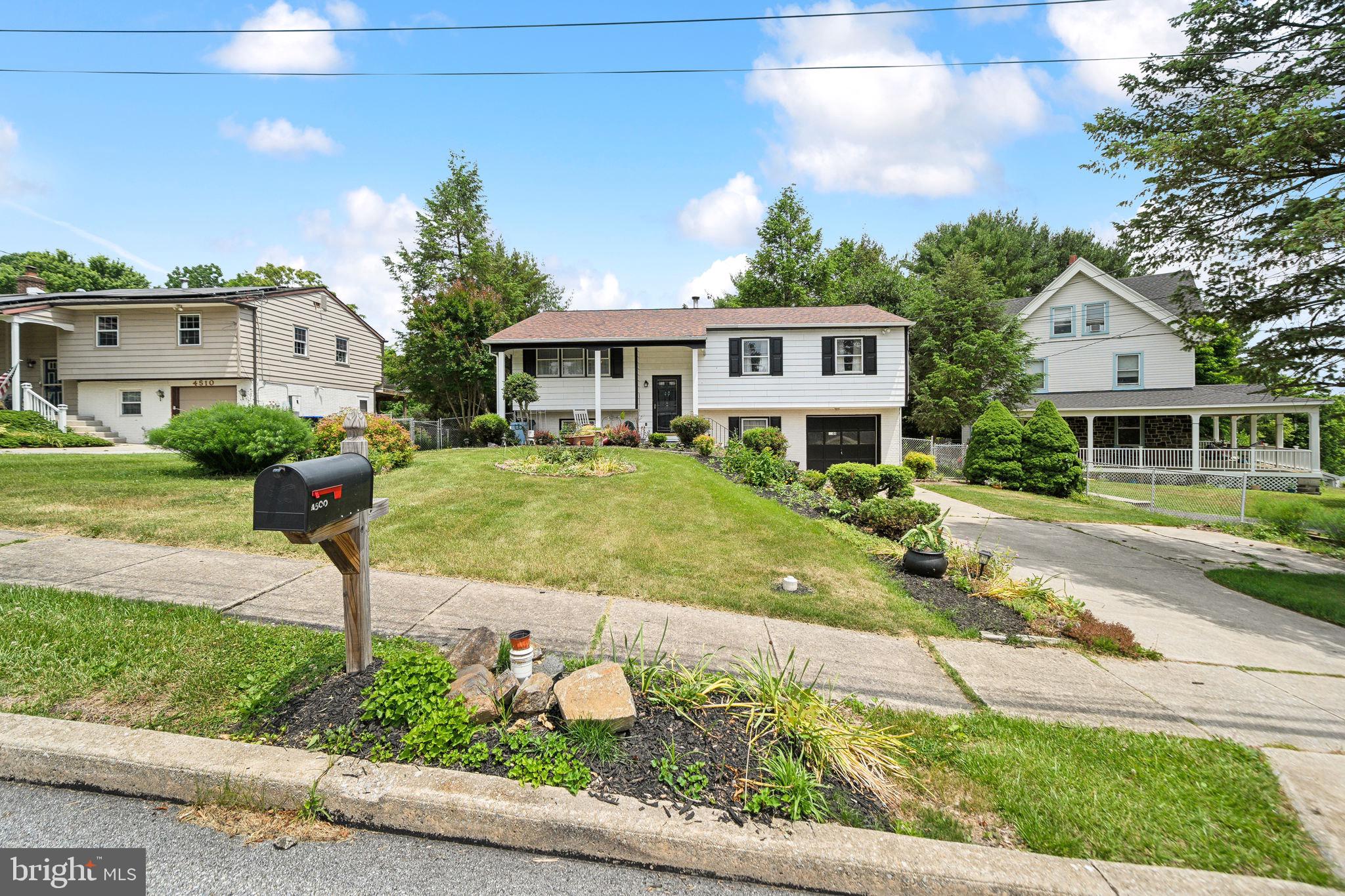 4500 Bethel Road Upper Chichester, PA 19061 - Photo 3 of 36 Isn't he pretty?!