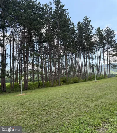 a view of a field with trees in the background