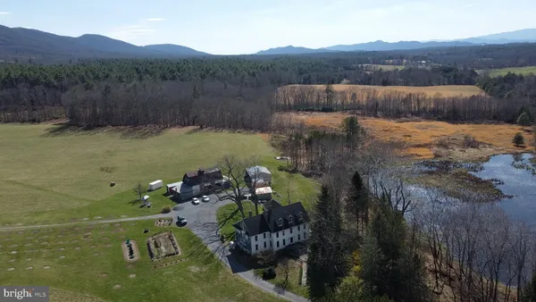 a view of a couches in a backyard