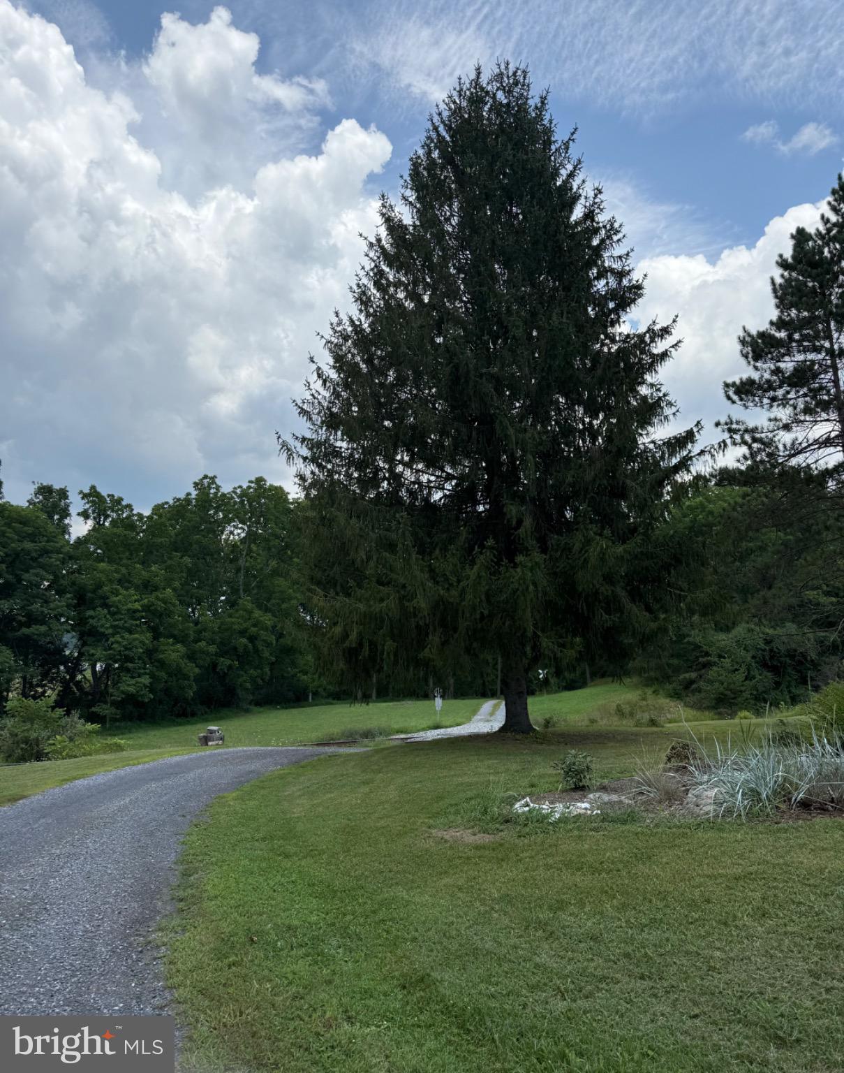33940 Mountain Valley Road Millboro, VA 24460 - Photo 21 of 22 Serene pathway beneath a towering tree.