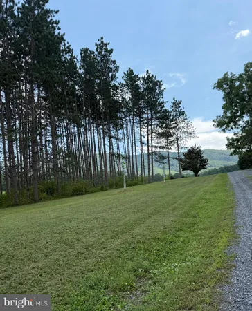 a view of a grassy field with trees