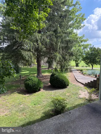 a view of a garden with an outdoor space