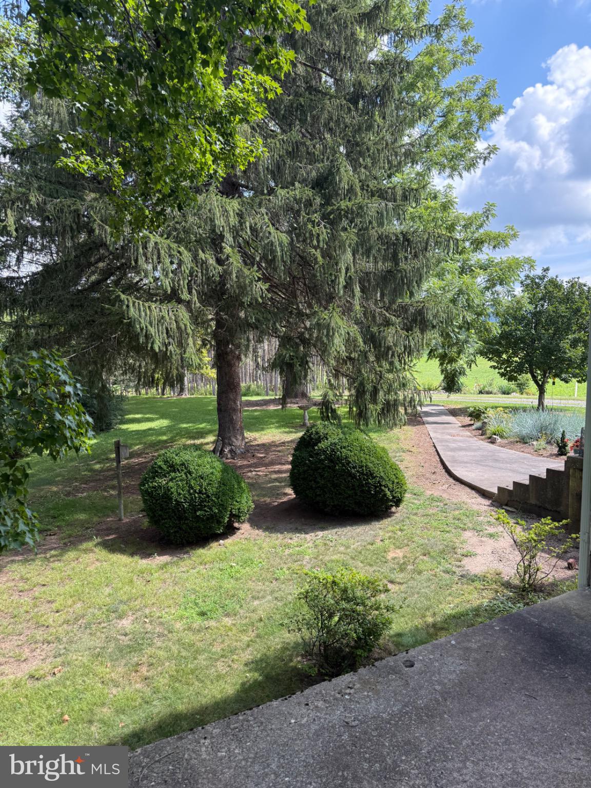 33940 Mountain Valley Road Millboro, VA 24460 - Photo 5 of 22 Lush greenery and serene outdoor space.