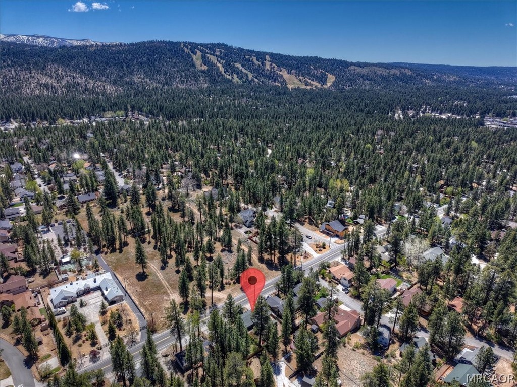 42698 Fox Farm Road Big Bear Lake, CA 92315 - Photo 45 of 46
