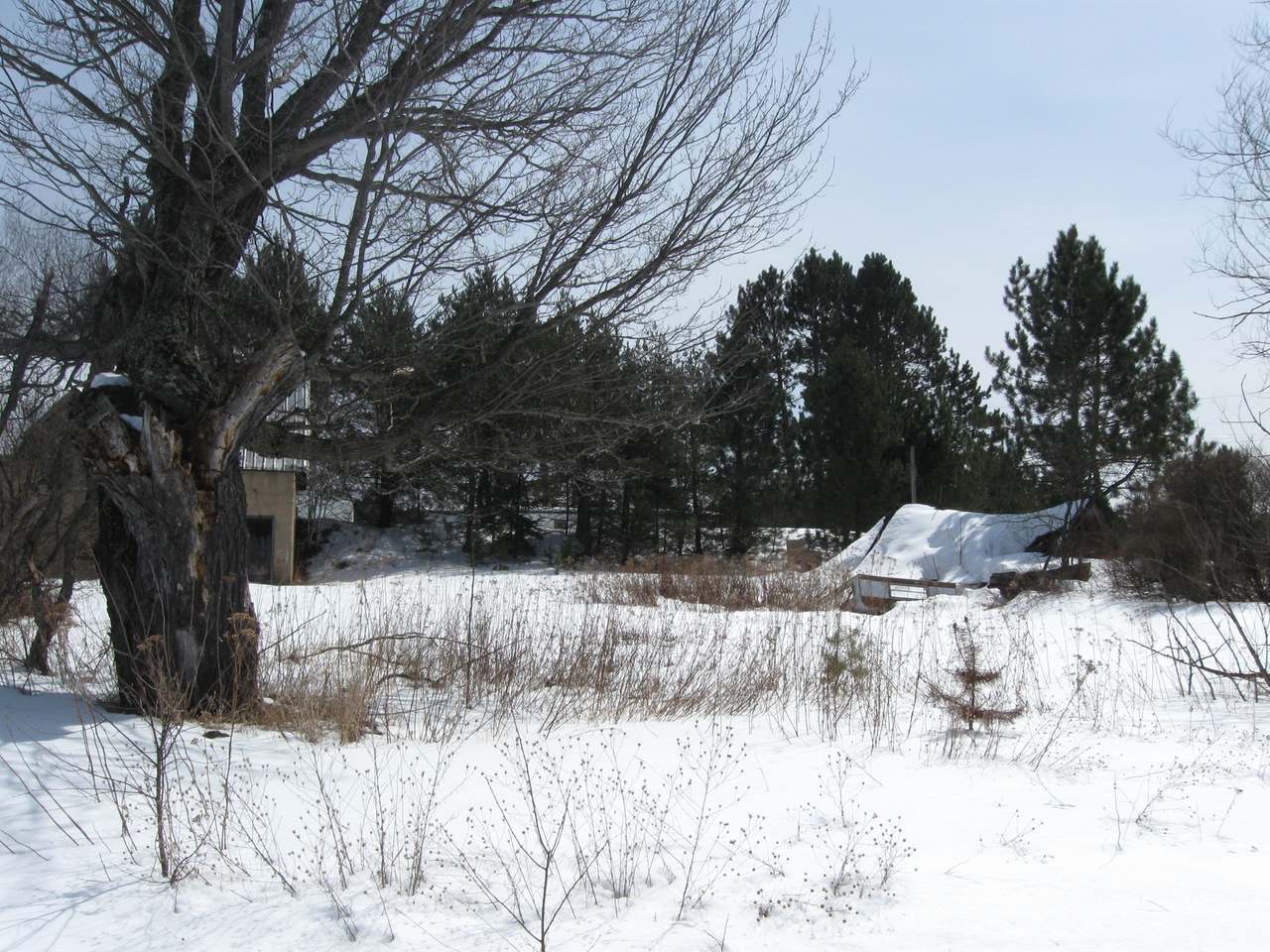 2382 Old 26 Road Rhinelander, WI 54501 - Photo 4 of 4 Gallery Image 4