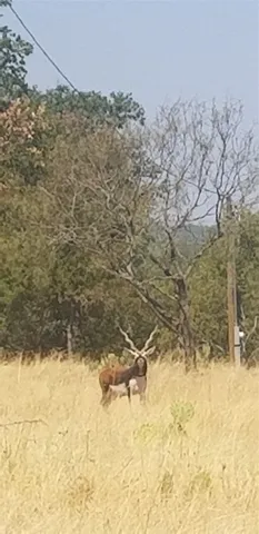 a view of a basket ball court