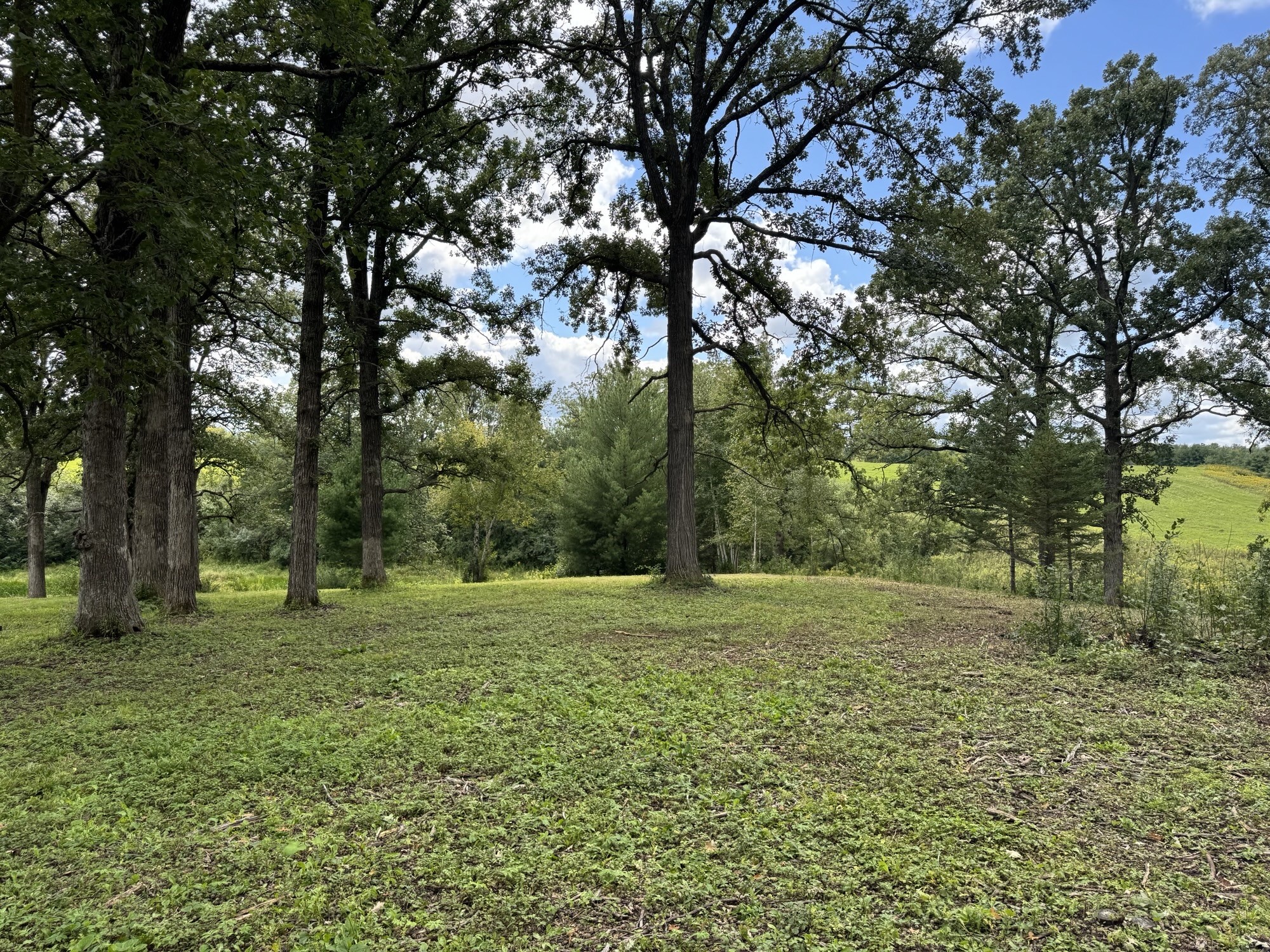 Lot 28 21st Street Rice Lake, WI 54868 - Photo 4 of 40