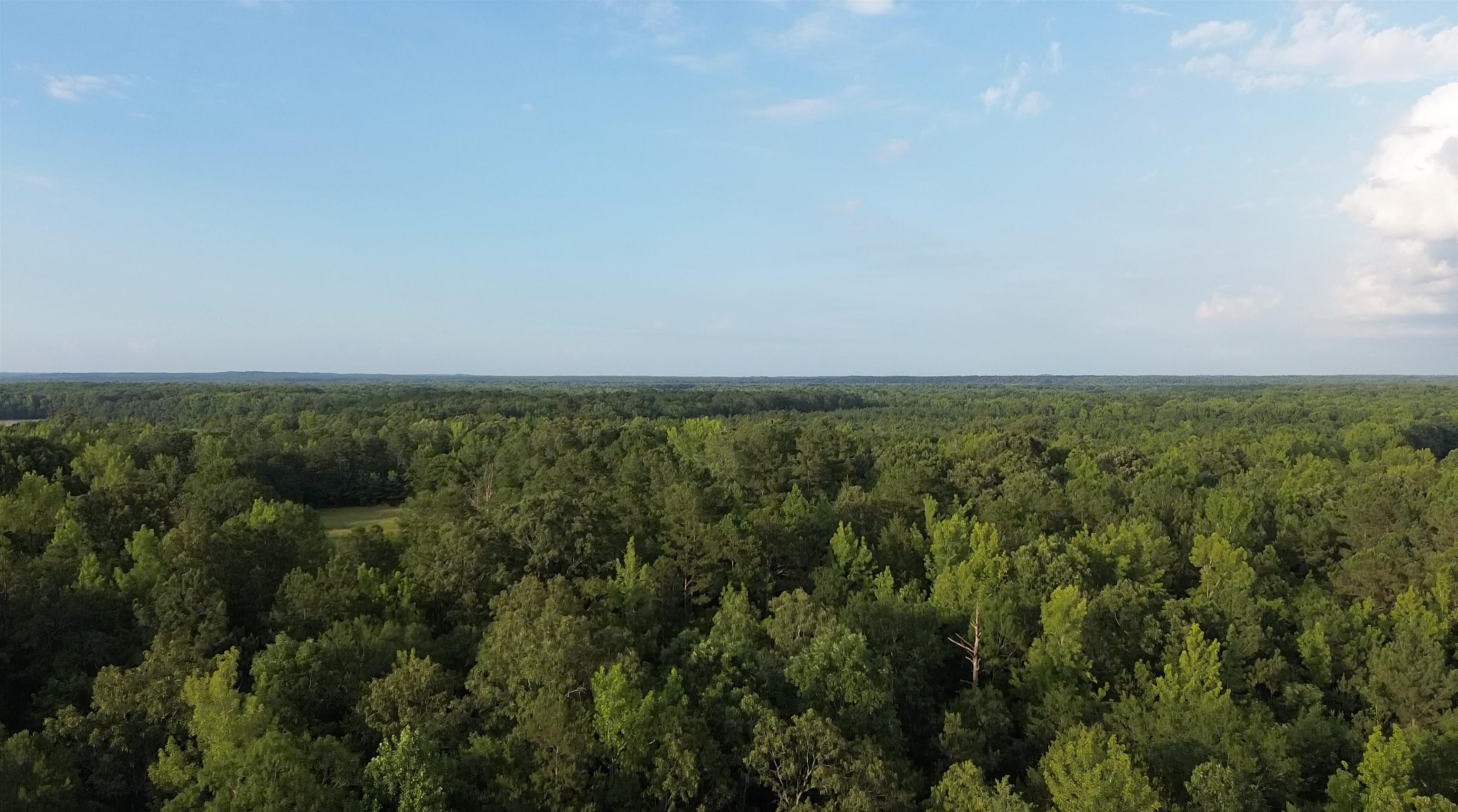 19.5-acres McMahan Road Middleton, TN 38052 - Photo 27 of 28