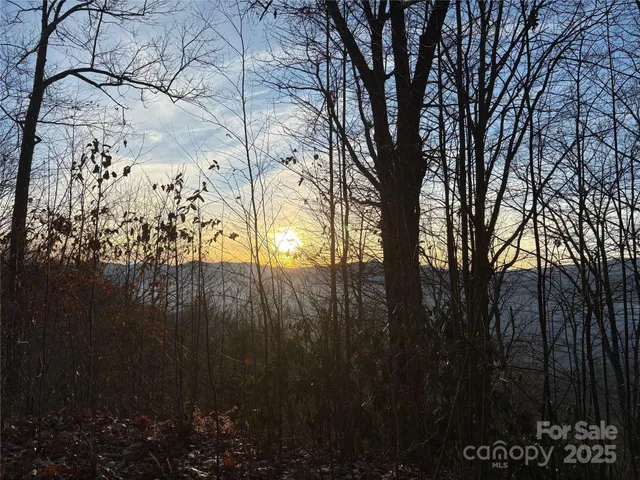 a view of mountain view with lot of trees