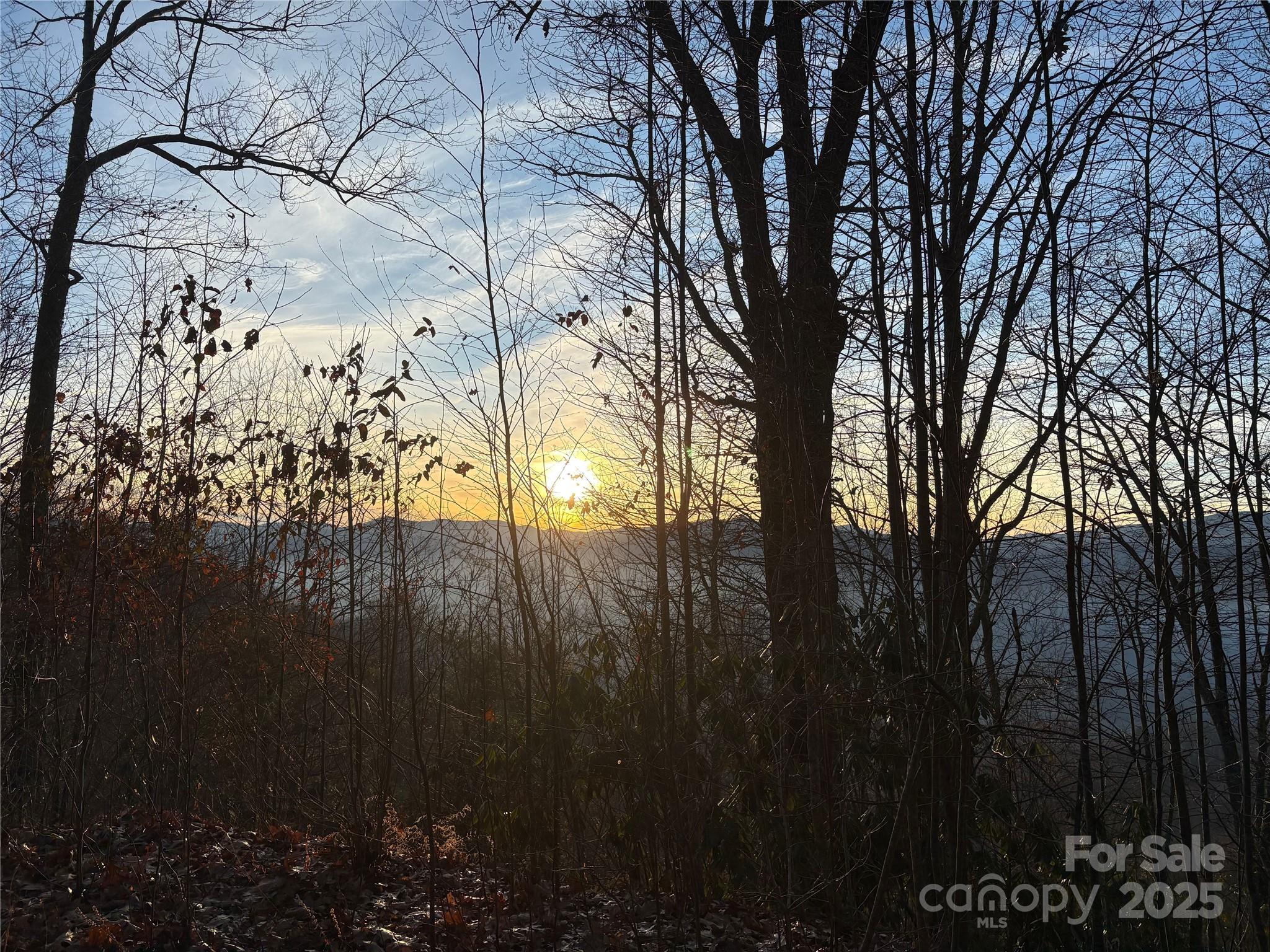 899 Hyacinth Drive Clyde, NC 28721 - Photo 1 of 29