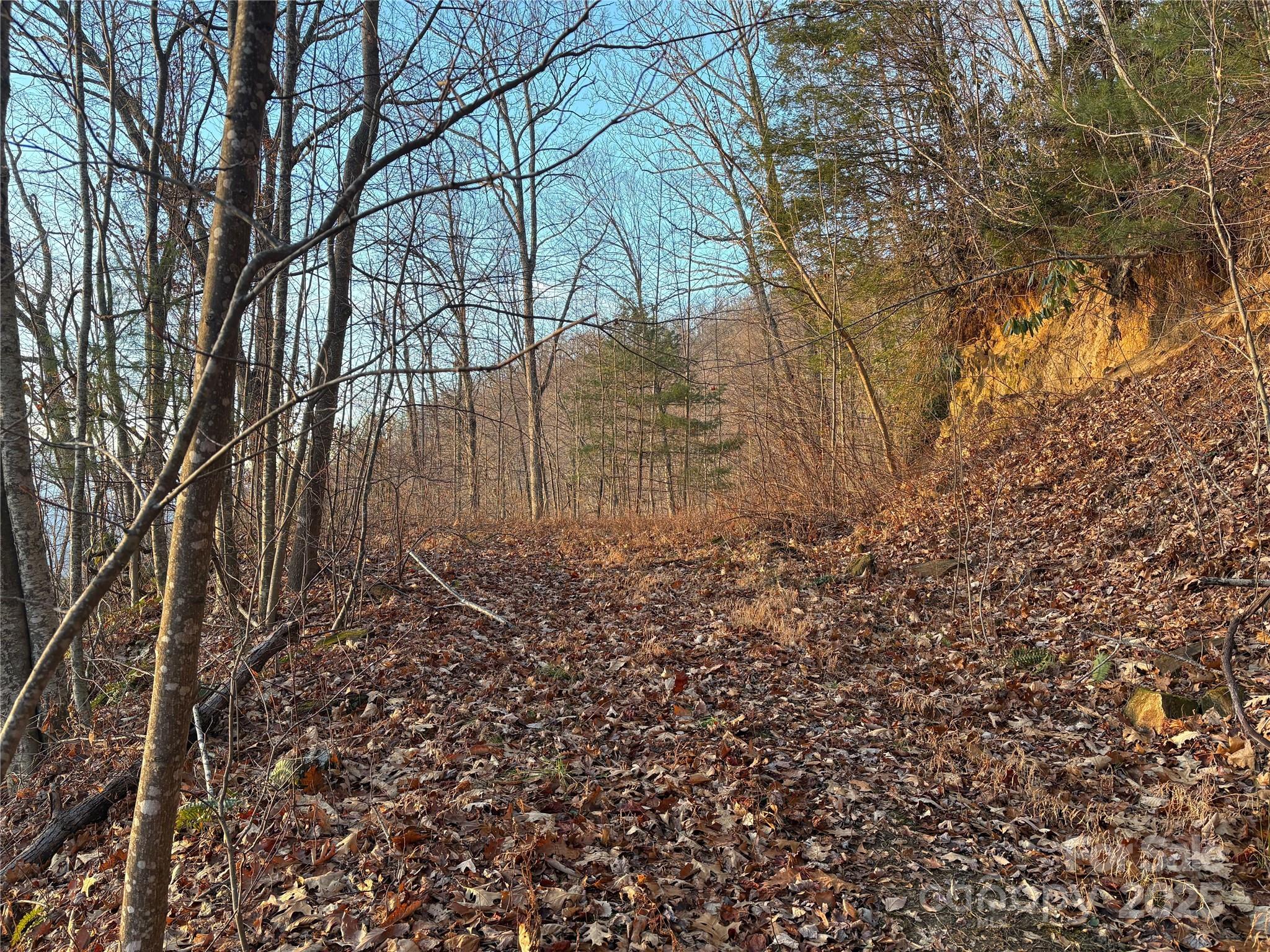 899 Hyacinth Drive Clyde, NC 28721 - Photo 11 of 29 a backyard of a house with lots of green space
