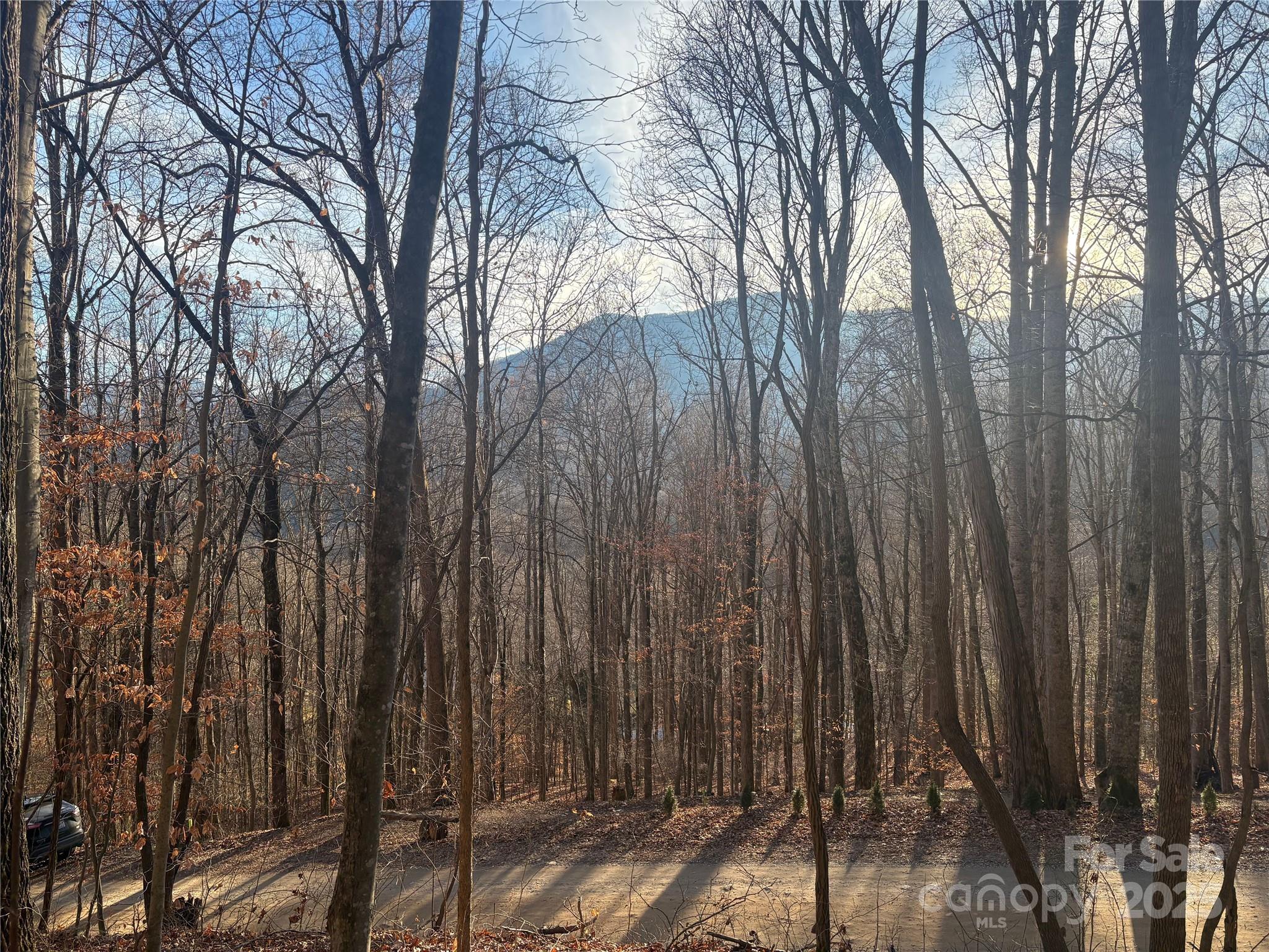 899 Hyacinth Drive Clyde, NC 28721 - Photo 12 of 29 a view of a backyard of the house