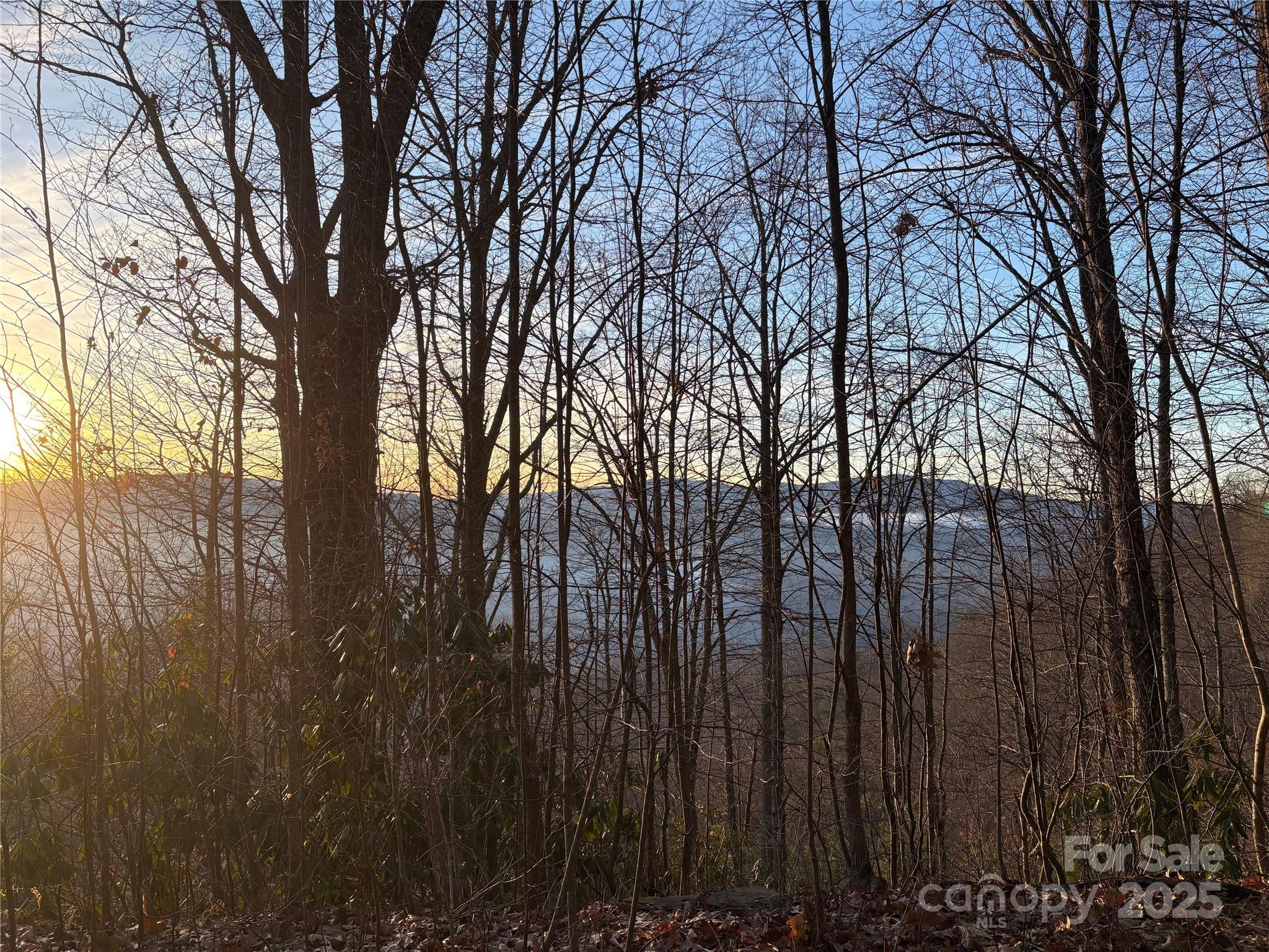 899 Hyacinth Drive Clyde, NC 28721 - Photo 13 of 29 a view of trees with a house in background