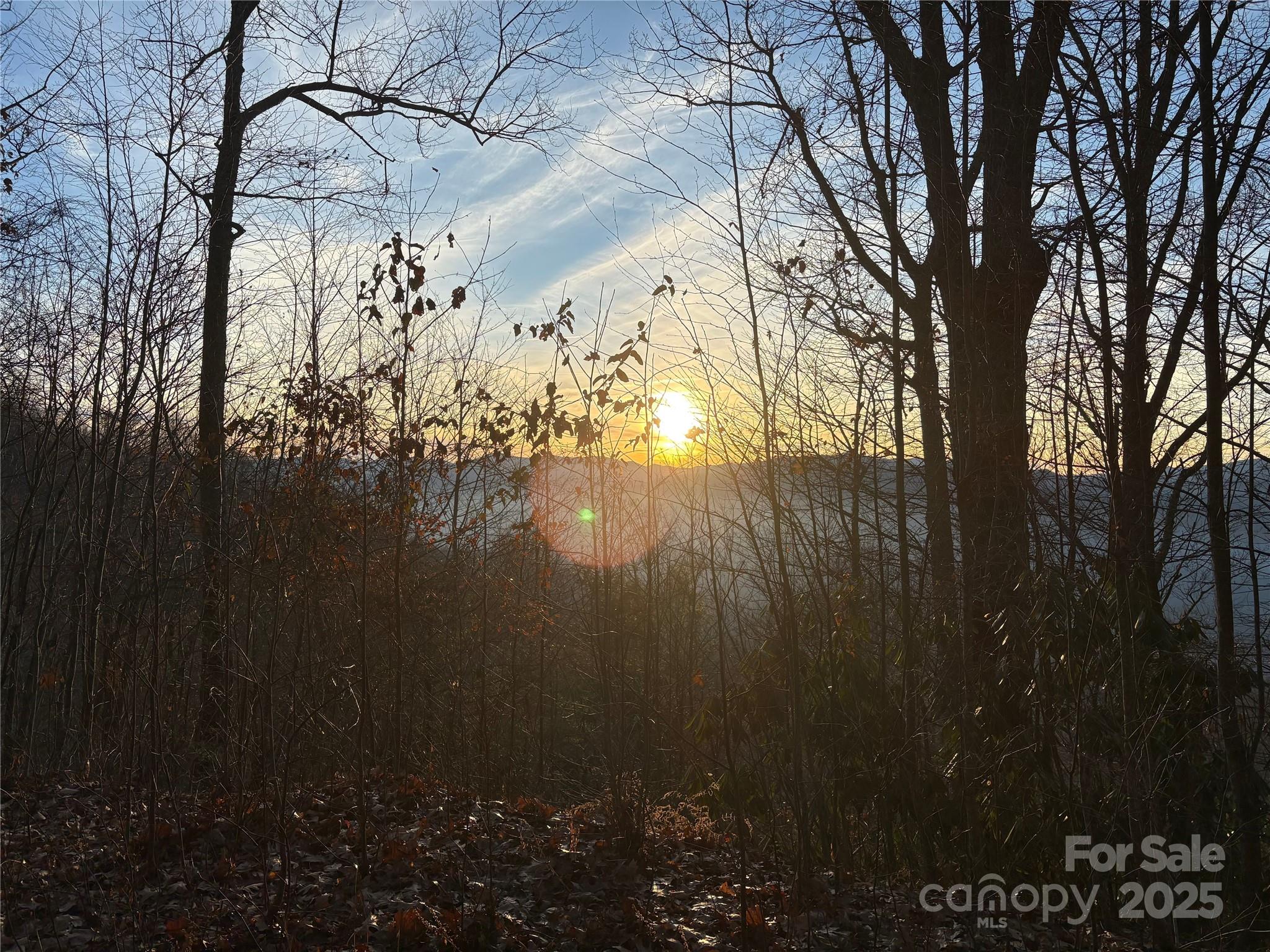 899 Hyacinth Drive Clyde, NC 28721 - Photo 14 of 29 a view of tree next to a yard