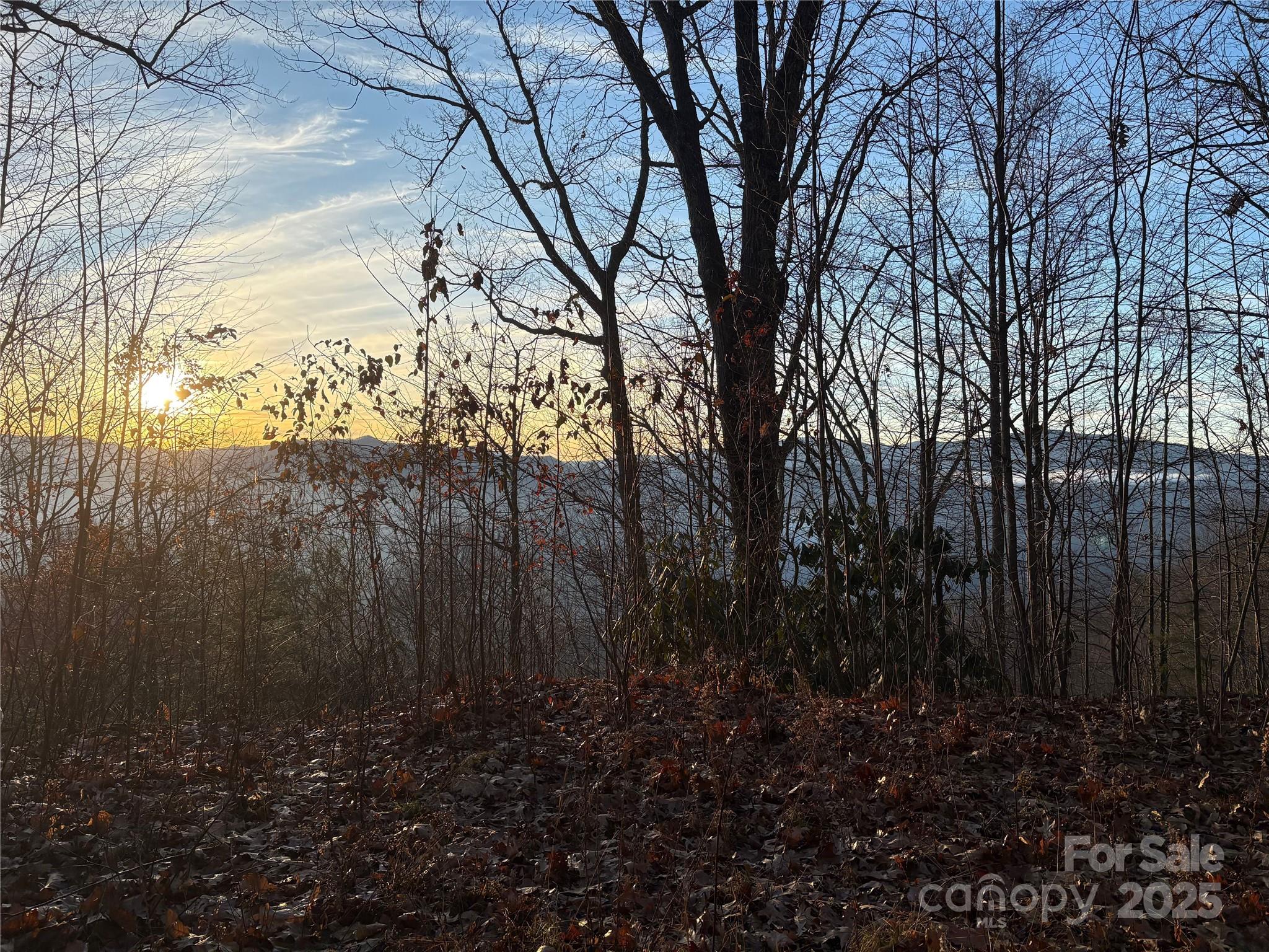 899 Hyacinth Drive Clyde, NC 28721 - Photo 15 of 29 a view of a yard with large trees