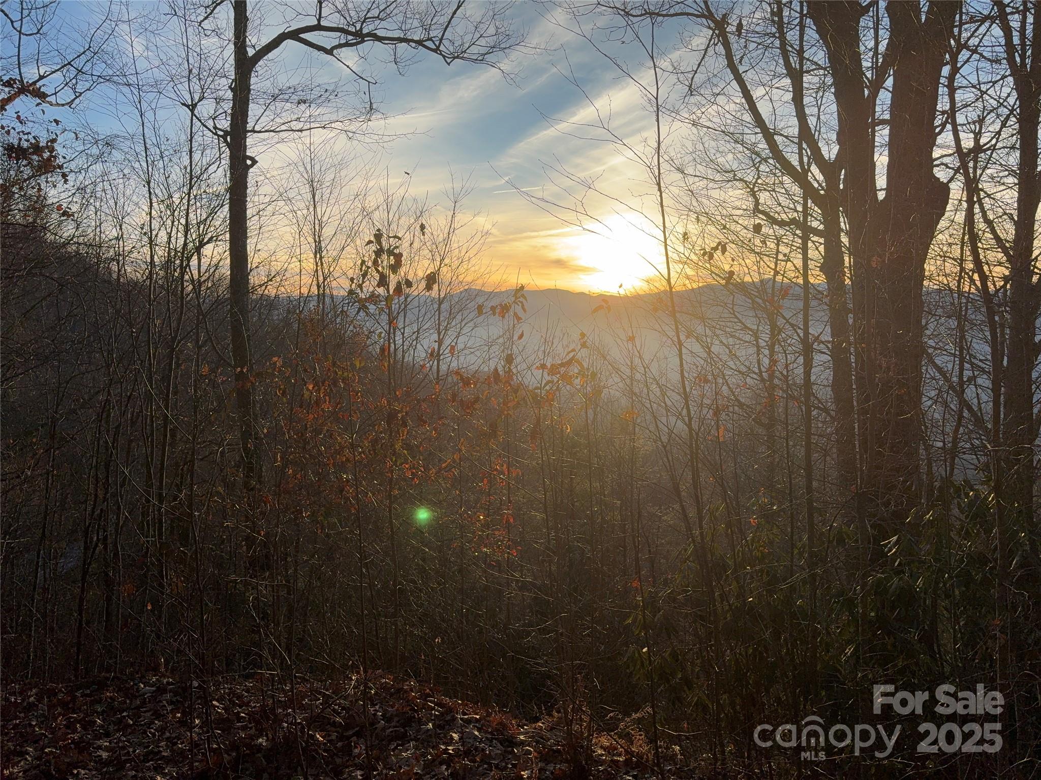 899 Hyacinth Drive Clyde, NC 28721 - Photo 16 of 29 a view of tree next to a yard