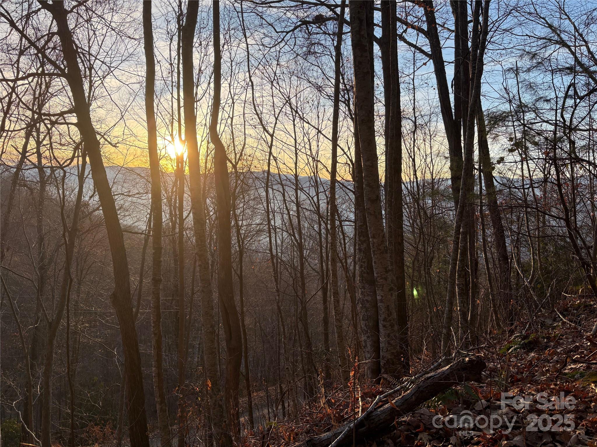 899 Hyacinth Drive Clyde, NC 28721 - Photo 18 of 29 a view of trees in a yard