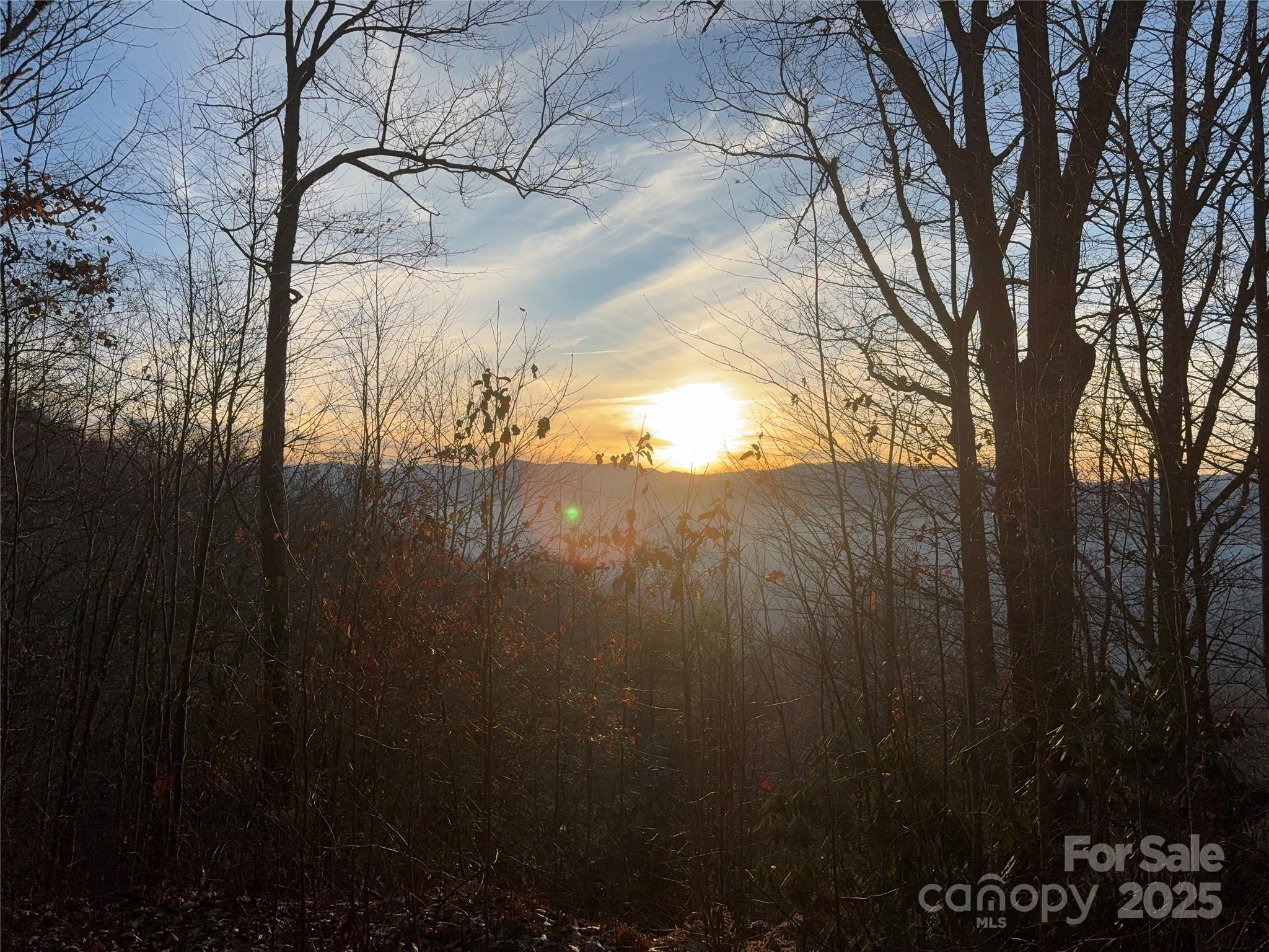 899 Hyacinth Drive Clyde, NC 28721 - Photo 2 of 29 a view of mountain view with lot of trees