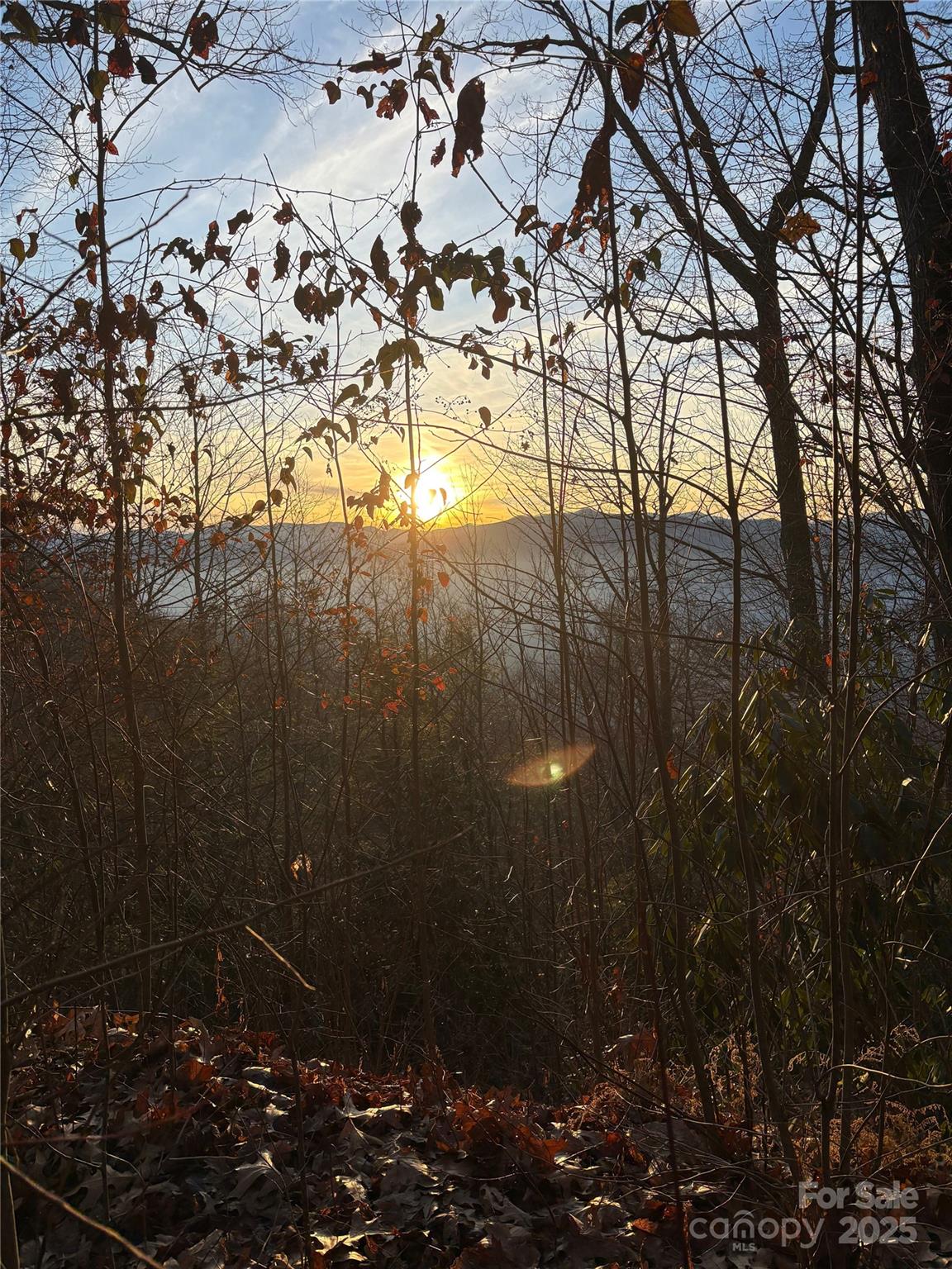 899 Hyacinth Drive Clyde, NC 28721 - Photo 23 of 29 a view of garden