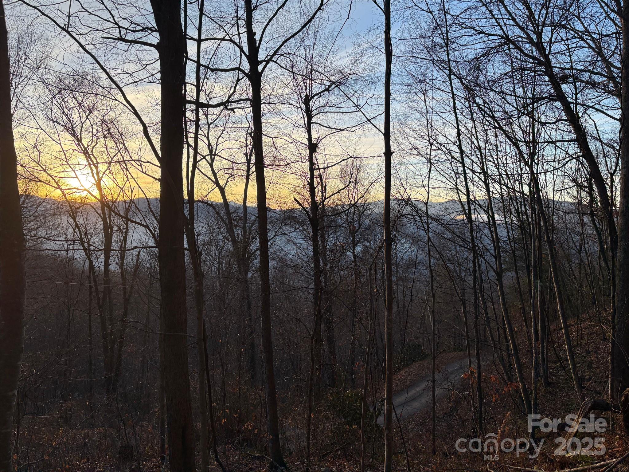 899 Hyacinth Drive Clyde, NC 28721 - Photo 25 of 29 a view of trees in the background