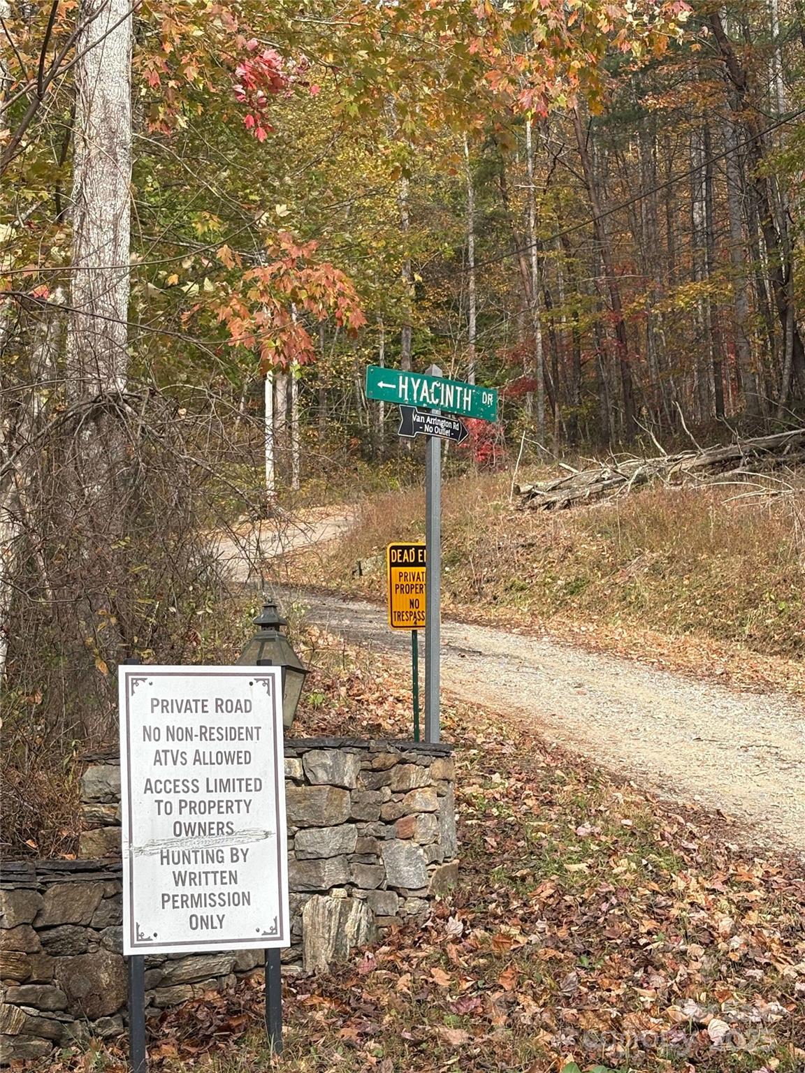 899 Hyacinth Drive Clyde, NC 28721 - Photo 29 of 29 a view of a dry yard with trees