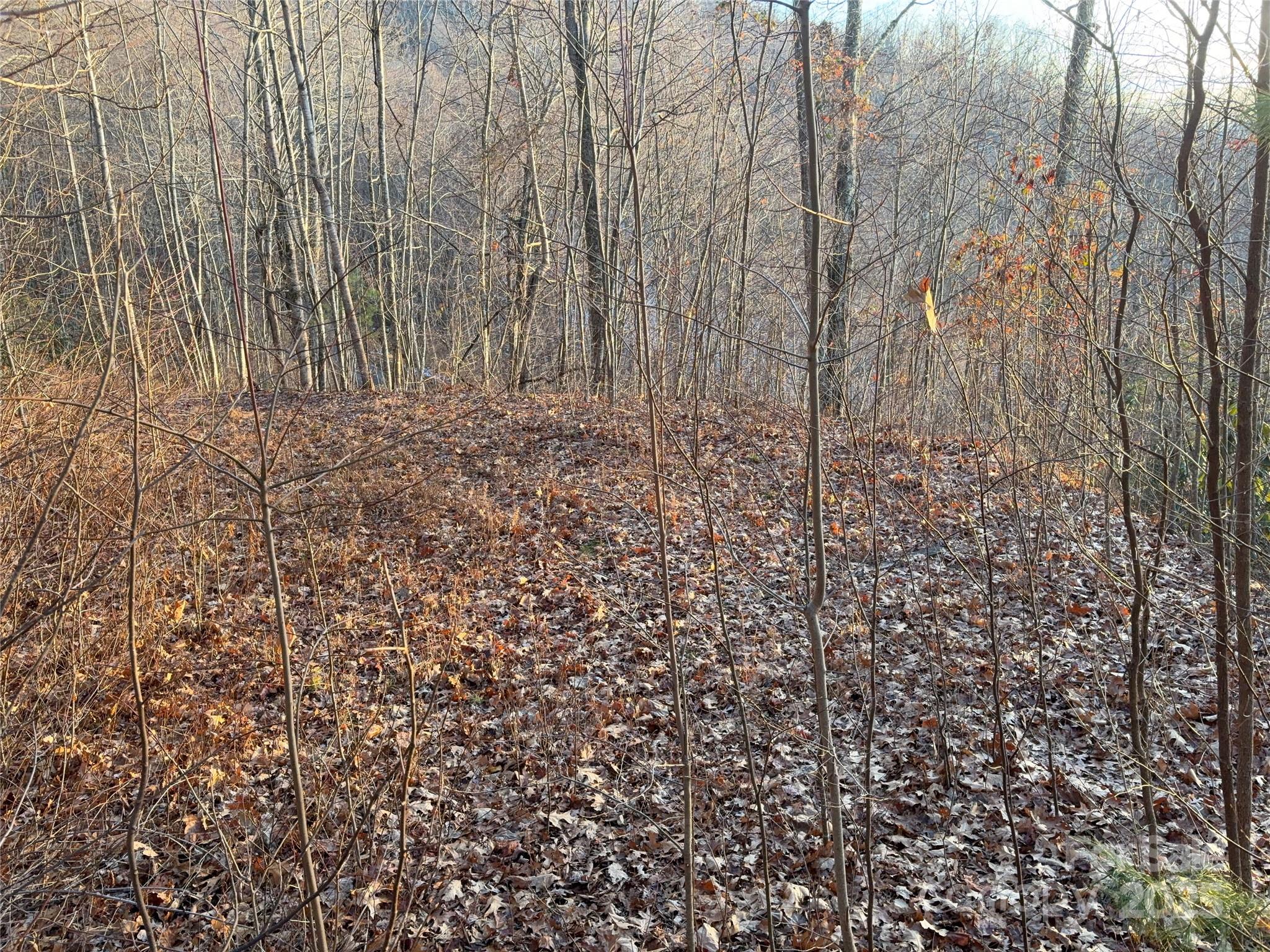 899 Hyacinth Drive Clyde, NC 28721 - Photo 7 of 29 a view of wooden floor