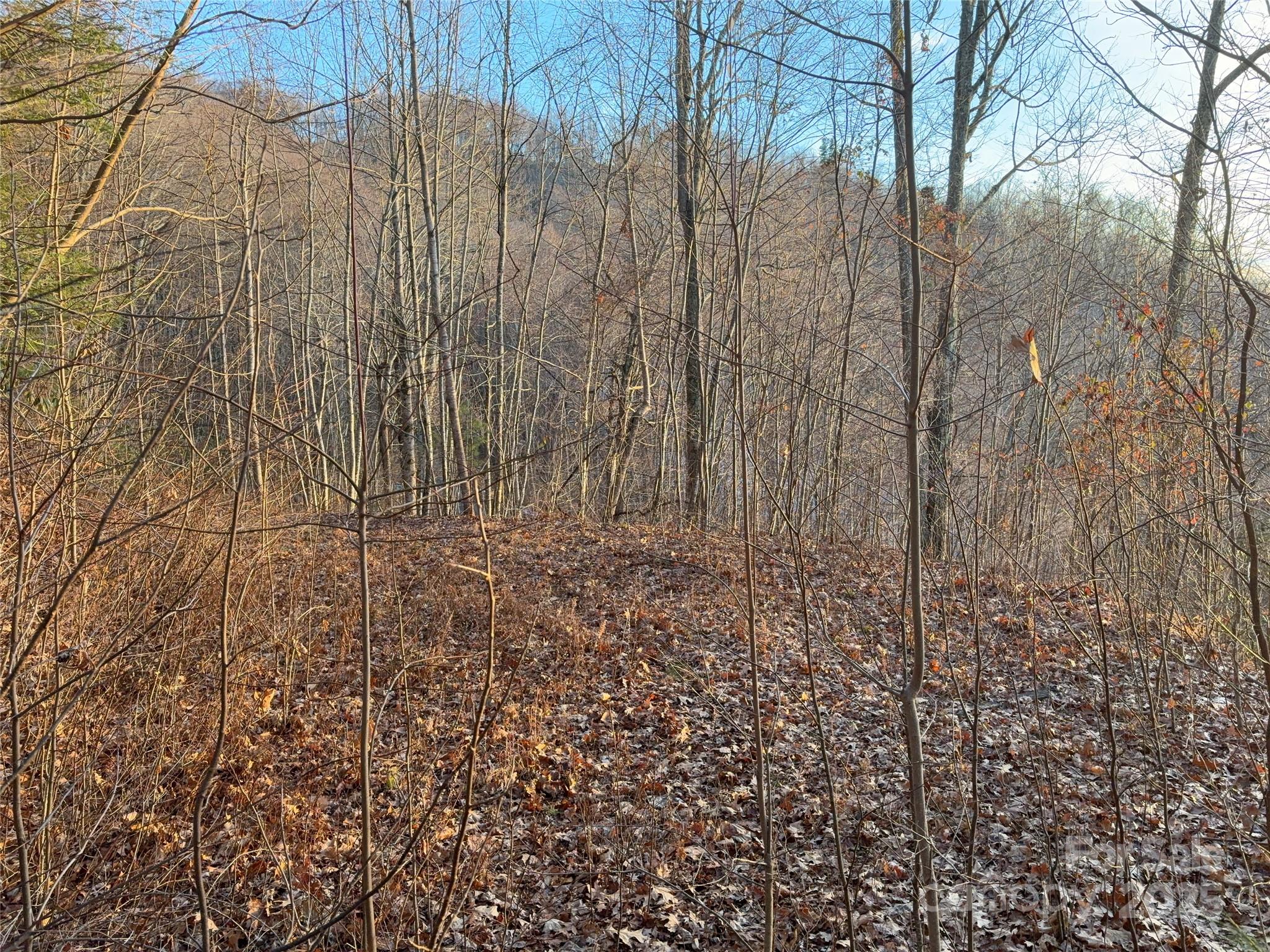 899 Hyacinth Drive Clyde, NC 28721 - Photo 8 of 29 a view of wooden fence
