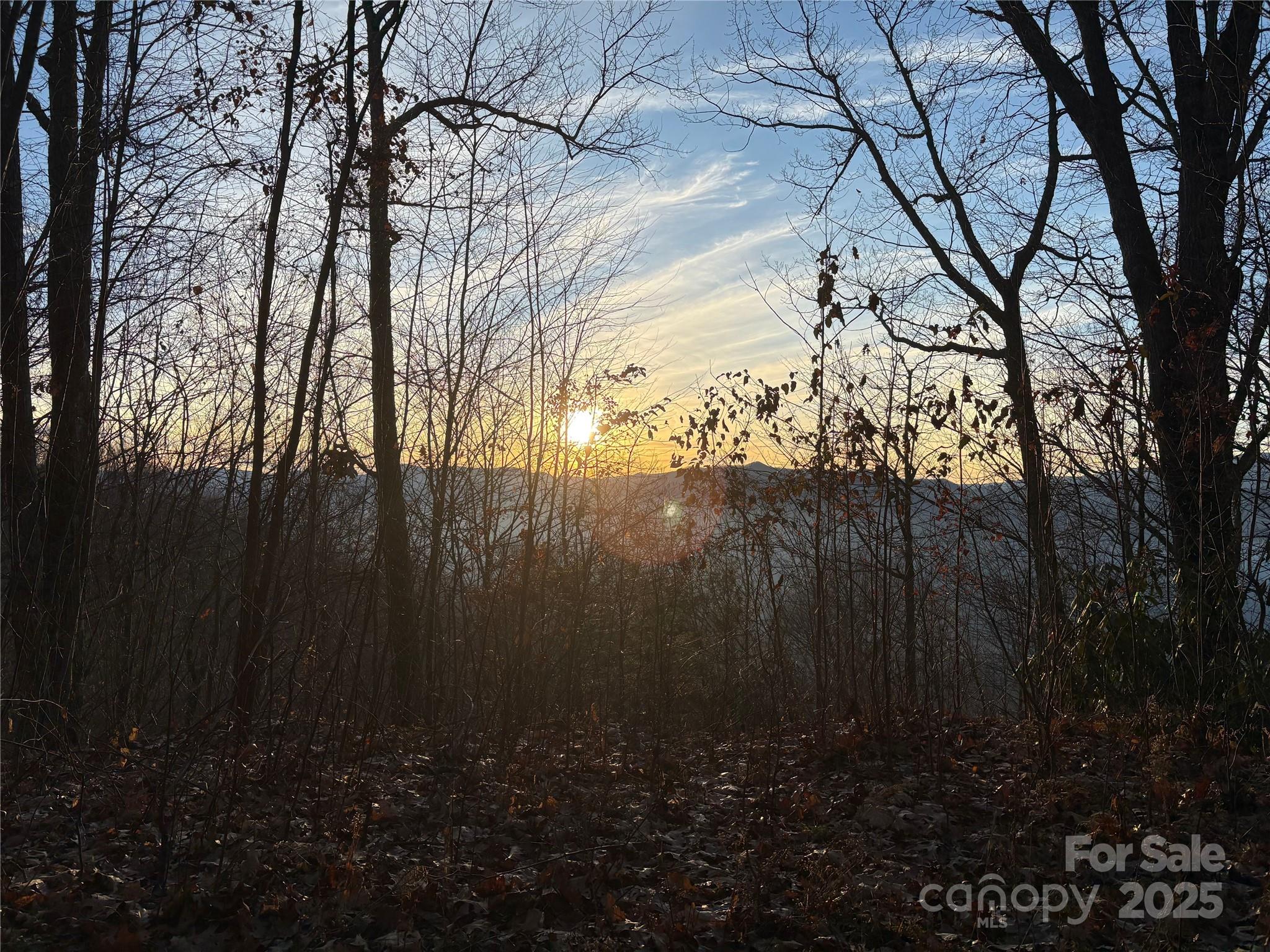 899 Hyacinth Drive Clyde, NC 28721 - Photo 9 of 29 a view of outdoor space and yard