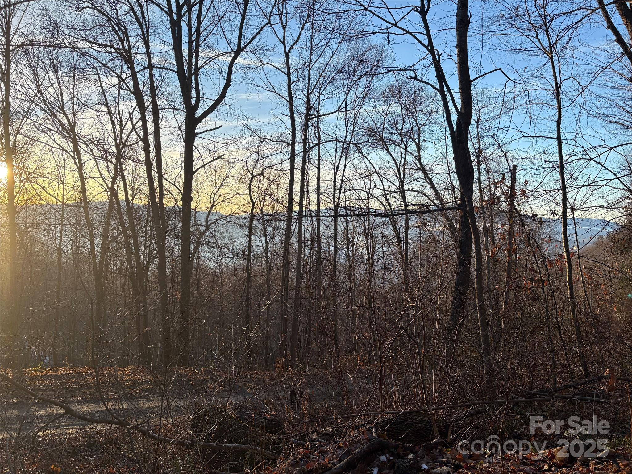 899 Hyacinth Drive Clyde, NC 28721 - Photo 10 of 29 a view of outdoor space with lots of trees