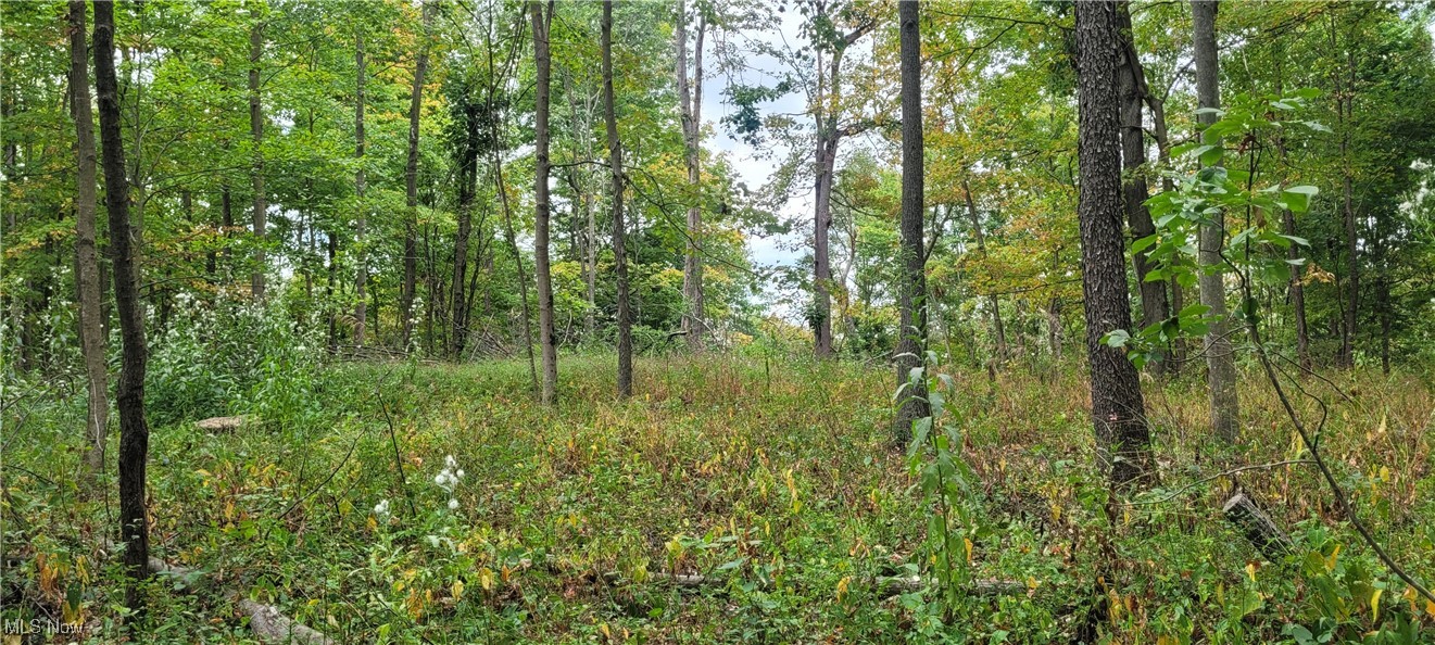 343 County Road Coshocton, OH 43812 - Photo 31 of 49 Gallery Image 31