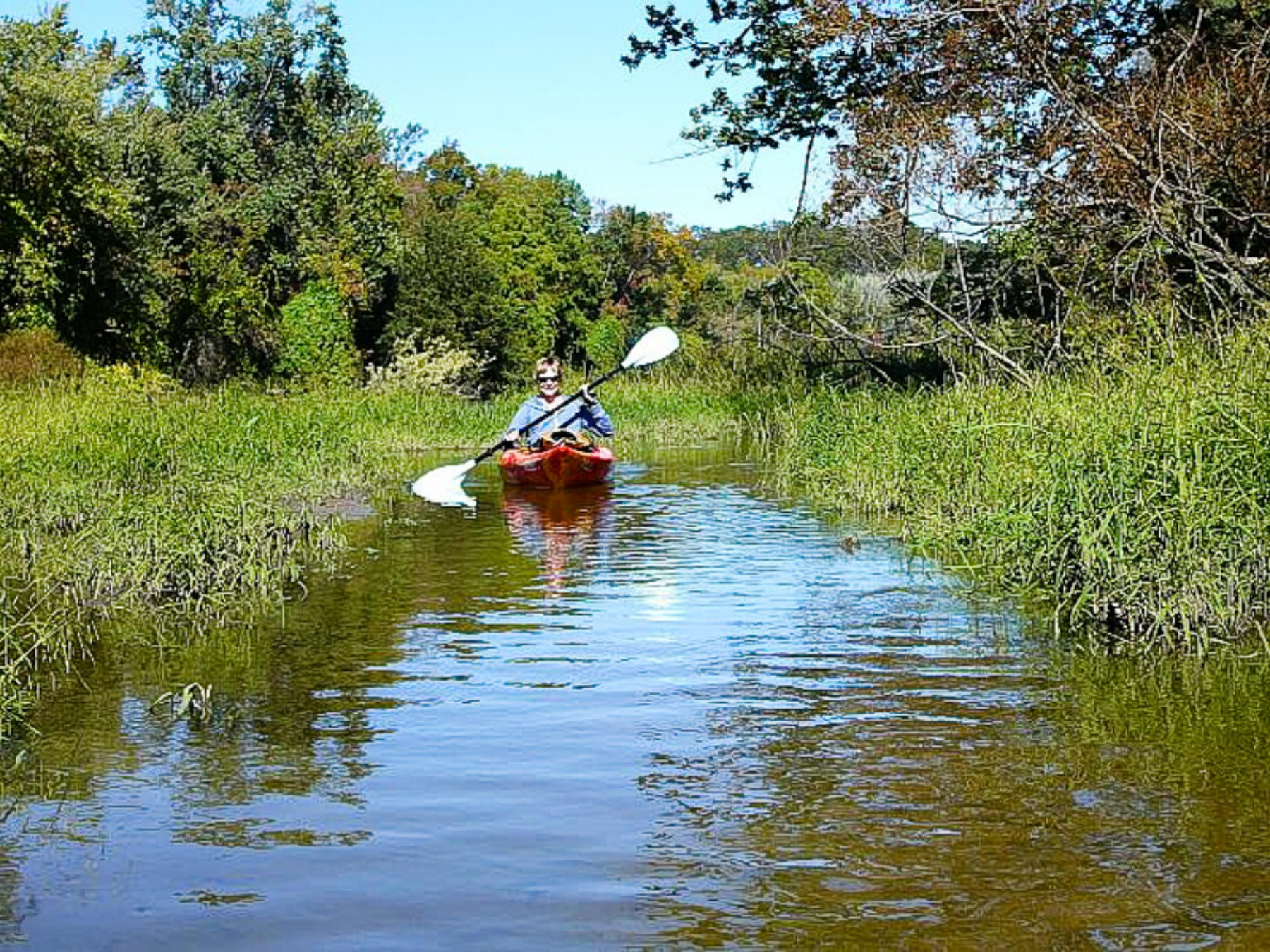 6014 River Ridge Drive Hamilton, MI 49419 - Photo 42 of 57 Kayak