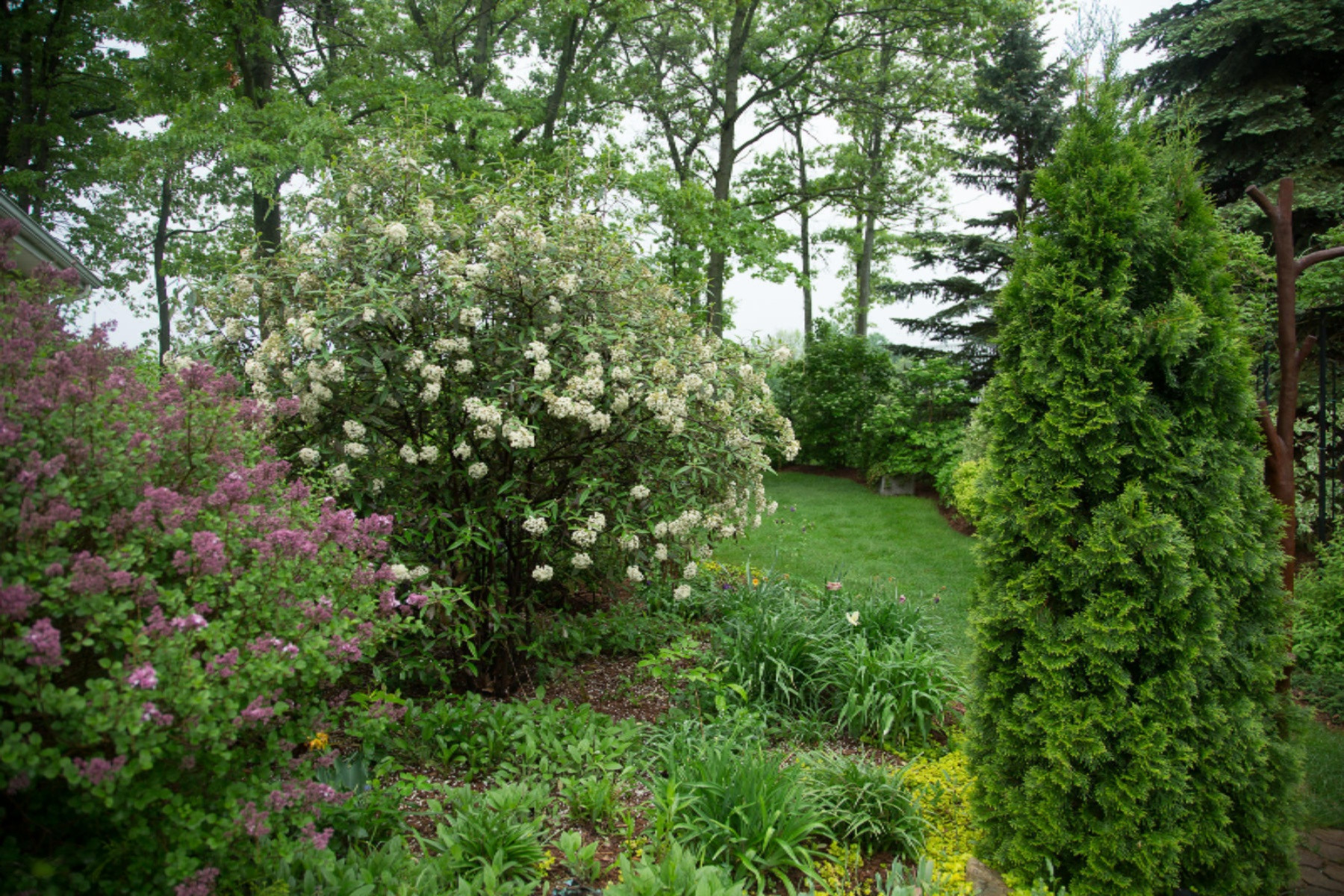 6014 River Ridge Drive Hamilton, MI 49419 - Photo 47 of 57 Landscape