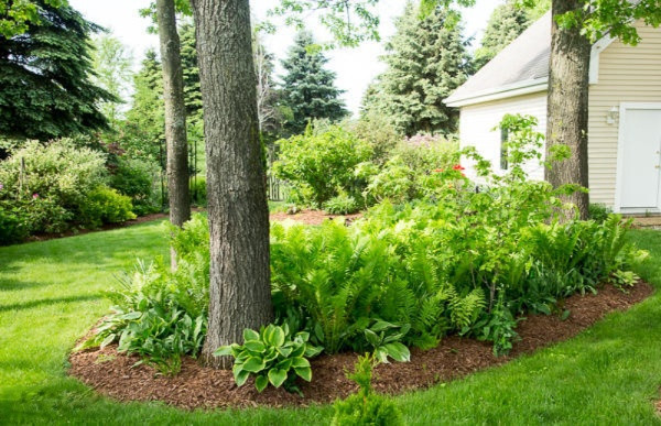 6014 River Ridge Drive Hamilton, MI 49419 - Photo 49 of 57 Landscape