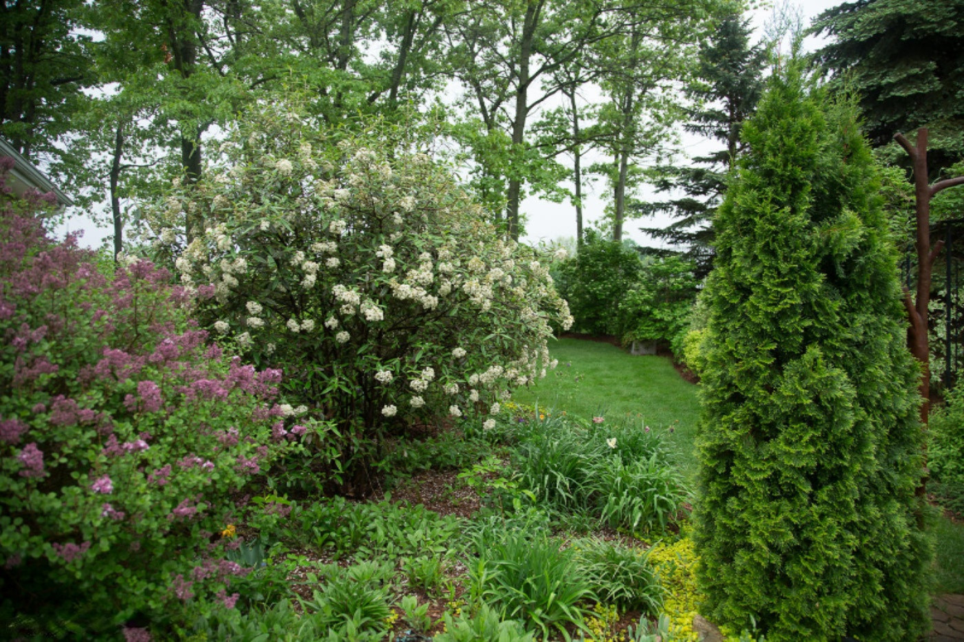 6014 River Ridge Drive Hamilton, MI 49419 - Photo 50 of 57 Landscape