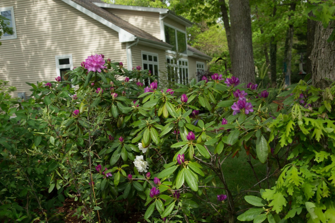 6014 River Ridge Drive Hamilton, MI 49419 - Photo 51 of 57 Landscape
