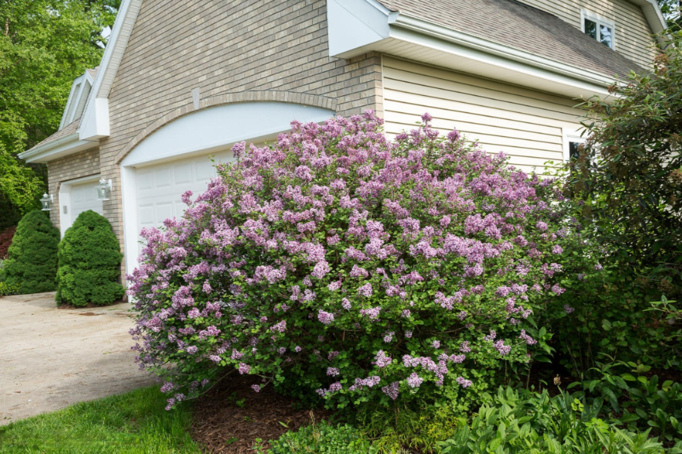6014 River Ridge Drive Hamilton, MI 49419 - Photo 53 of 57 Landscape