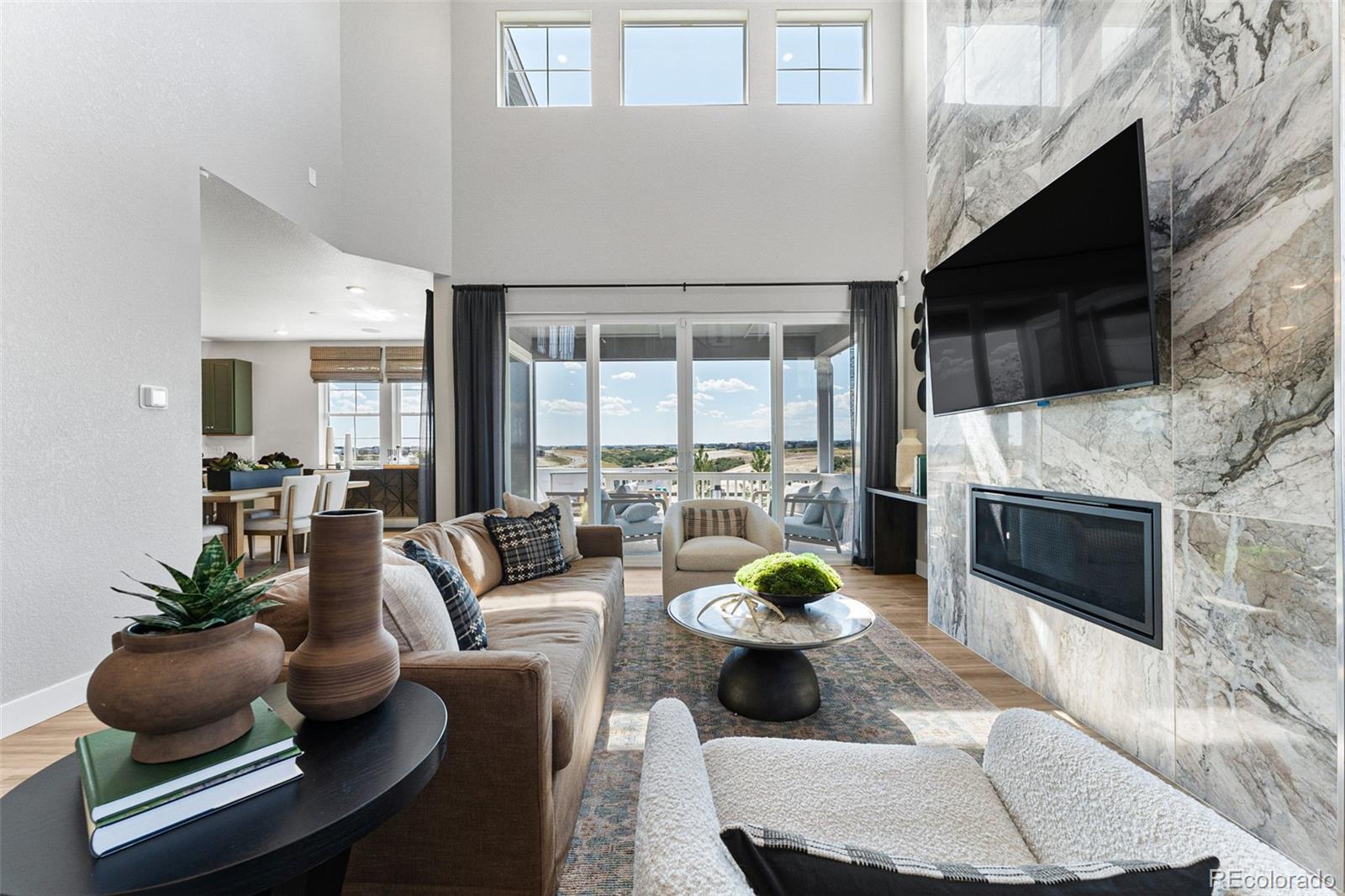 4261 Ridgewalk Point Castle Rock, CO 80108 - Photo 16 of 39 a living room with furniture potted plant and a fireplace