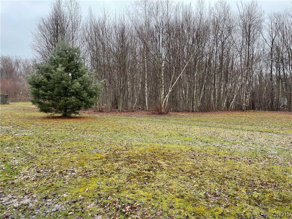 0 Baratier Road Hastings, NY 13076 - Photo 1 of 1 Gallery Image 1