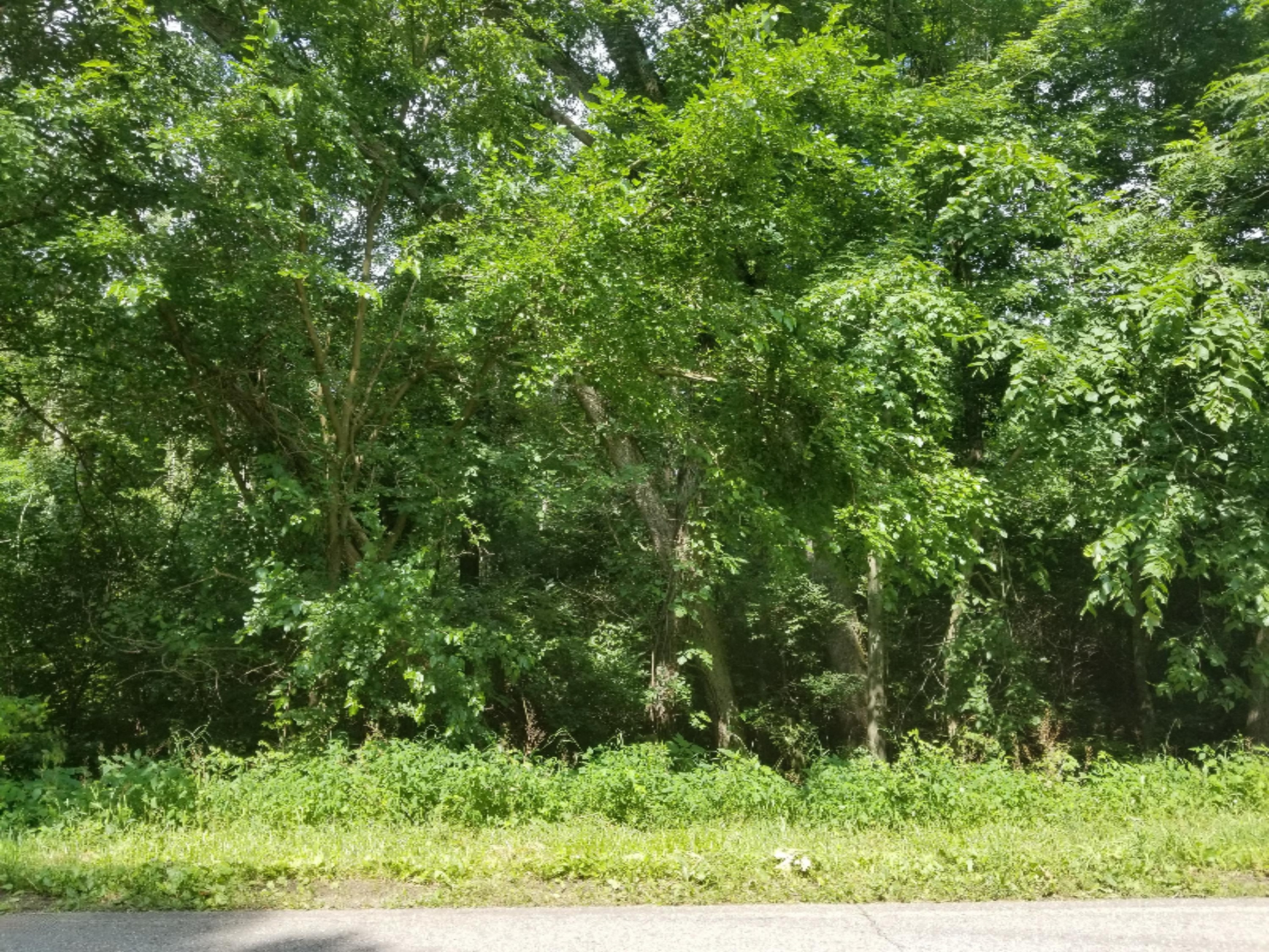 0 Anderson Road Niles, MI 49120 - Photo 2 of 6 20190717_112341