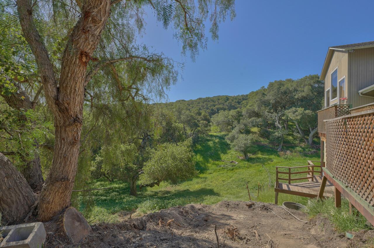 26045 Toro Road Salinas, CA 93908 - Photo 32 of 35 a view of a garden with a bench