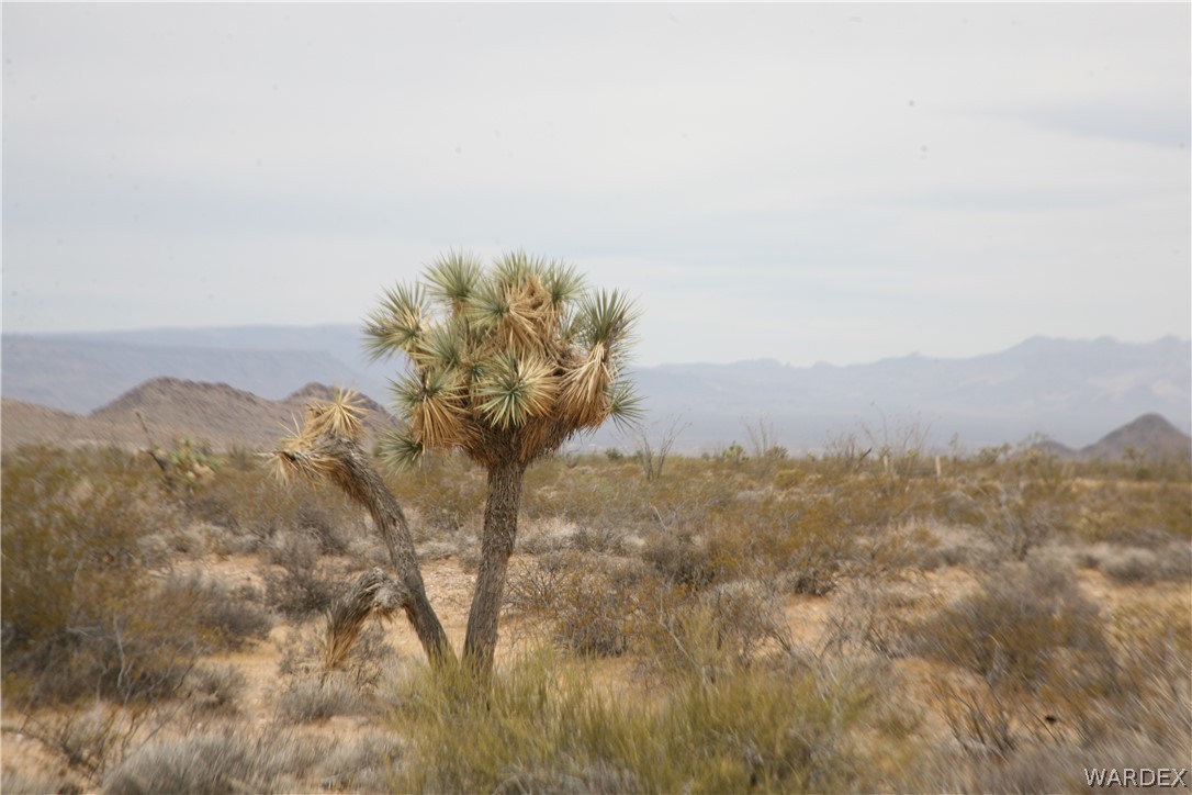 245-18-266 Alan Road Yucca, AZ 86438 - Photo 38 of 54