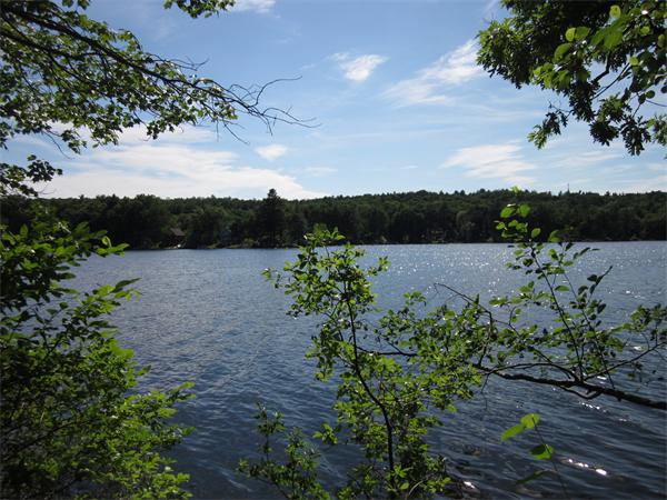 0 Lagoon Road Ware, MA 01082 - Photo 3 of 12 Gallery Image 3