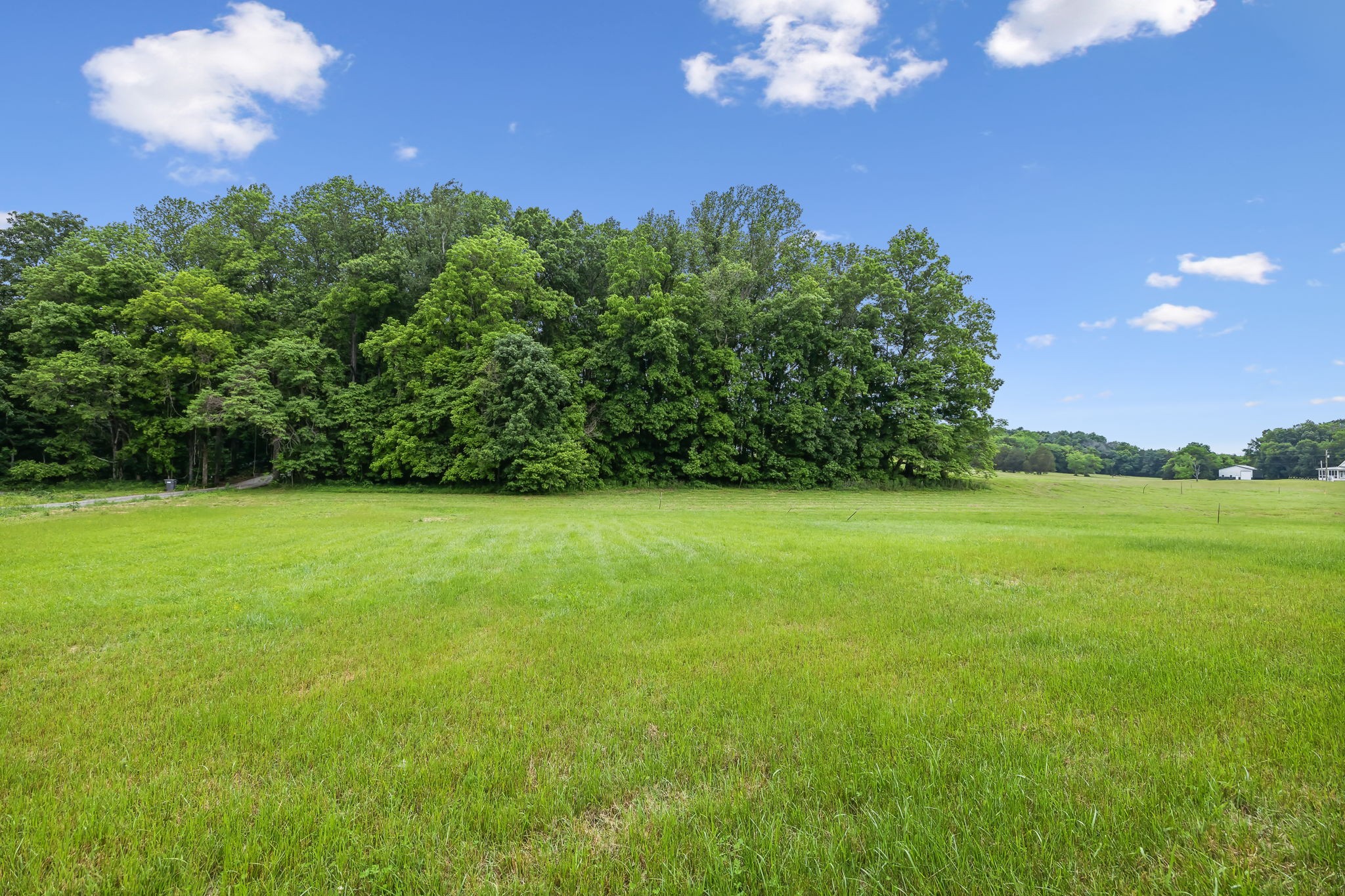 7323 North Milton Road Milton, TN 37118 - Photo 58 of 59 Gallery Image 58