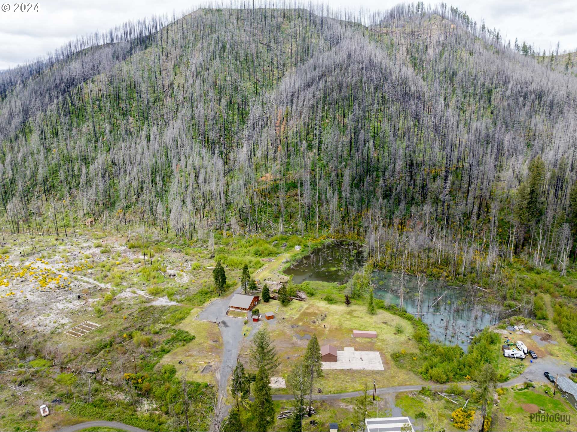 91160 Yeager Road Blue River, OR 97413 - Photo 41 of 48 Gallery Image 41