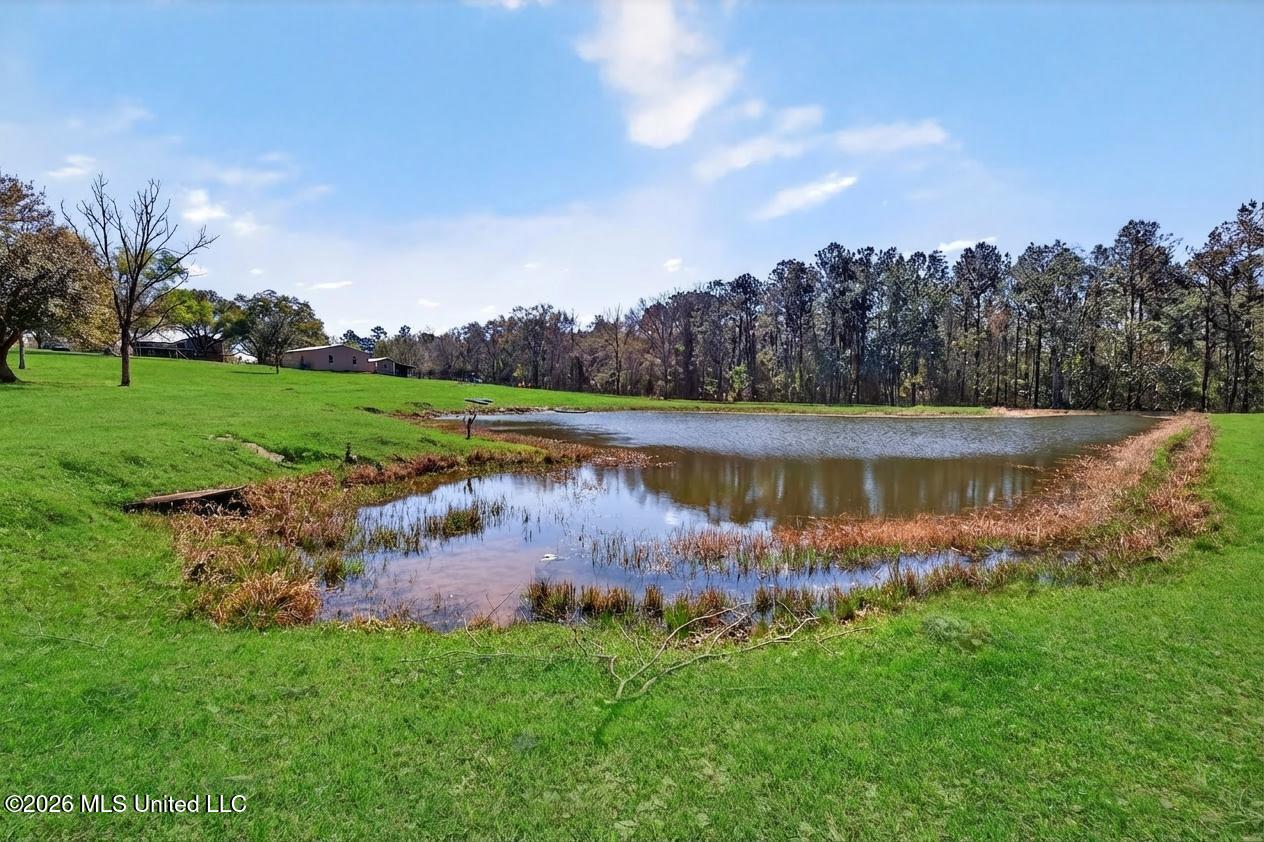 14035 Big Creek Road Gulfport, MS 39503 - Photo 82 of 112 14035BigCreekRd-100