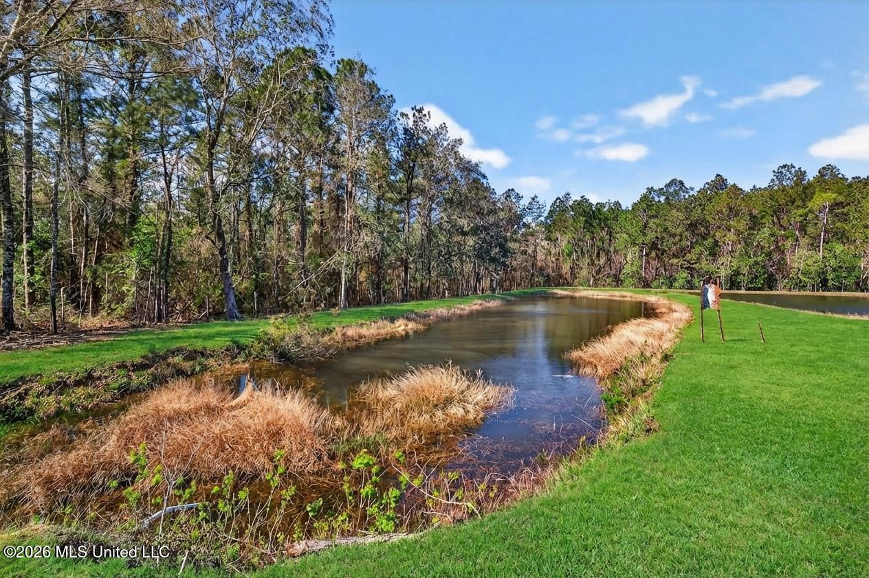 14035 Big Creek Road Gulfport, MS 39503 - Photo 85 of 112 14035BigCreekRd-98