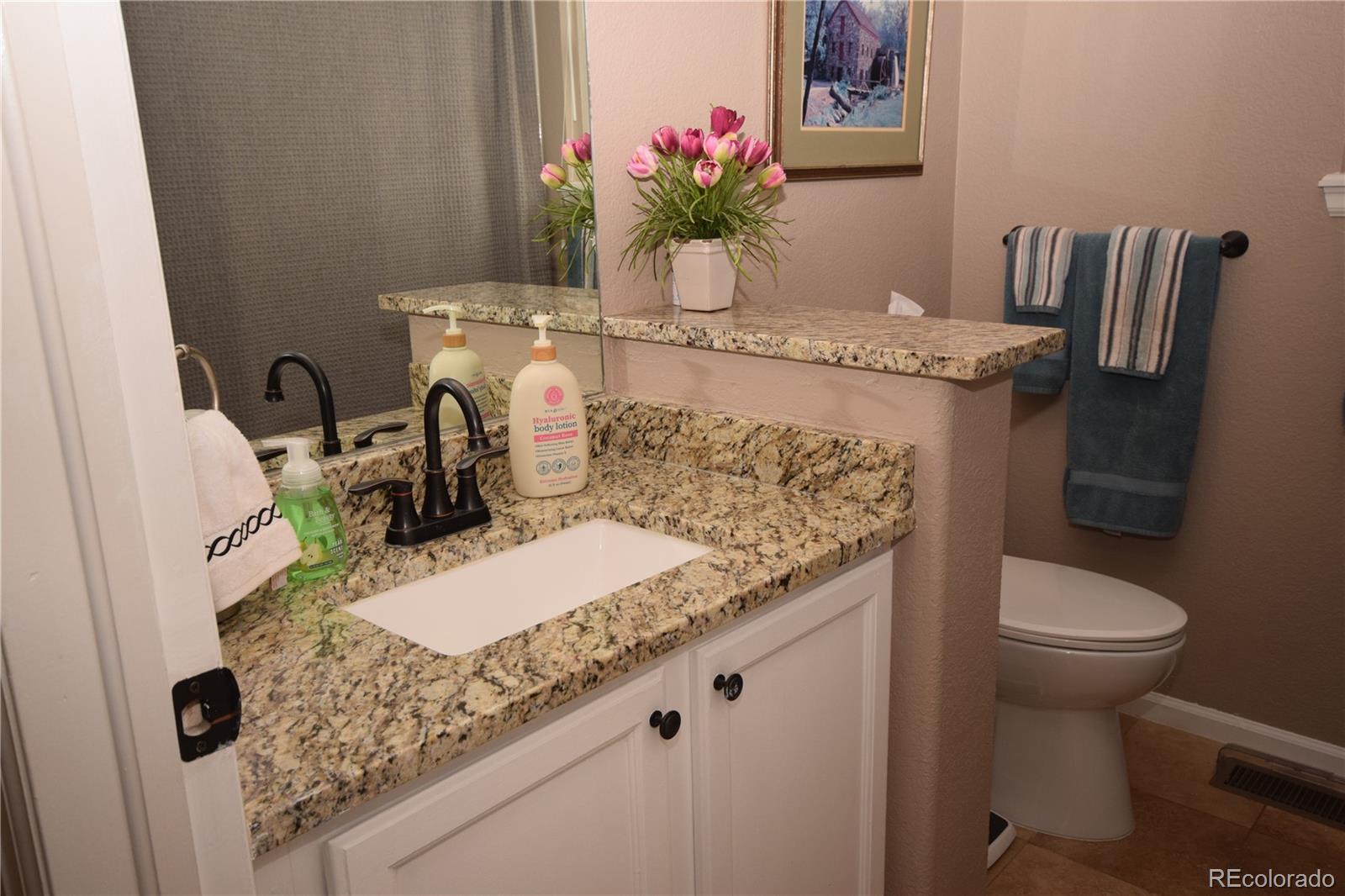 10345 Spring Water Peak Highlands Ranch, CO 80129 - Photo 11 of 27 Gallery Image 11
