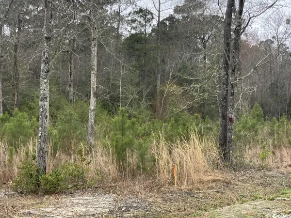 $75,000 | Lot 1 Allsbrook Road, Loris, SC 29569